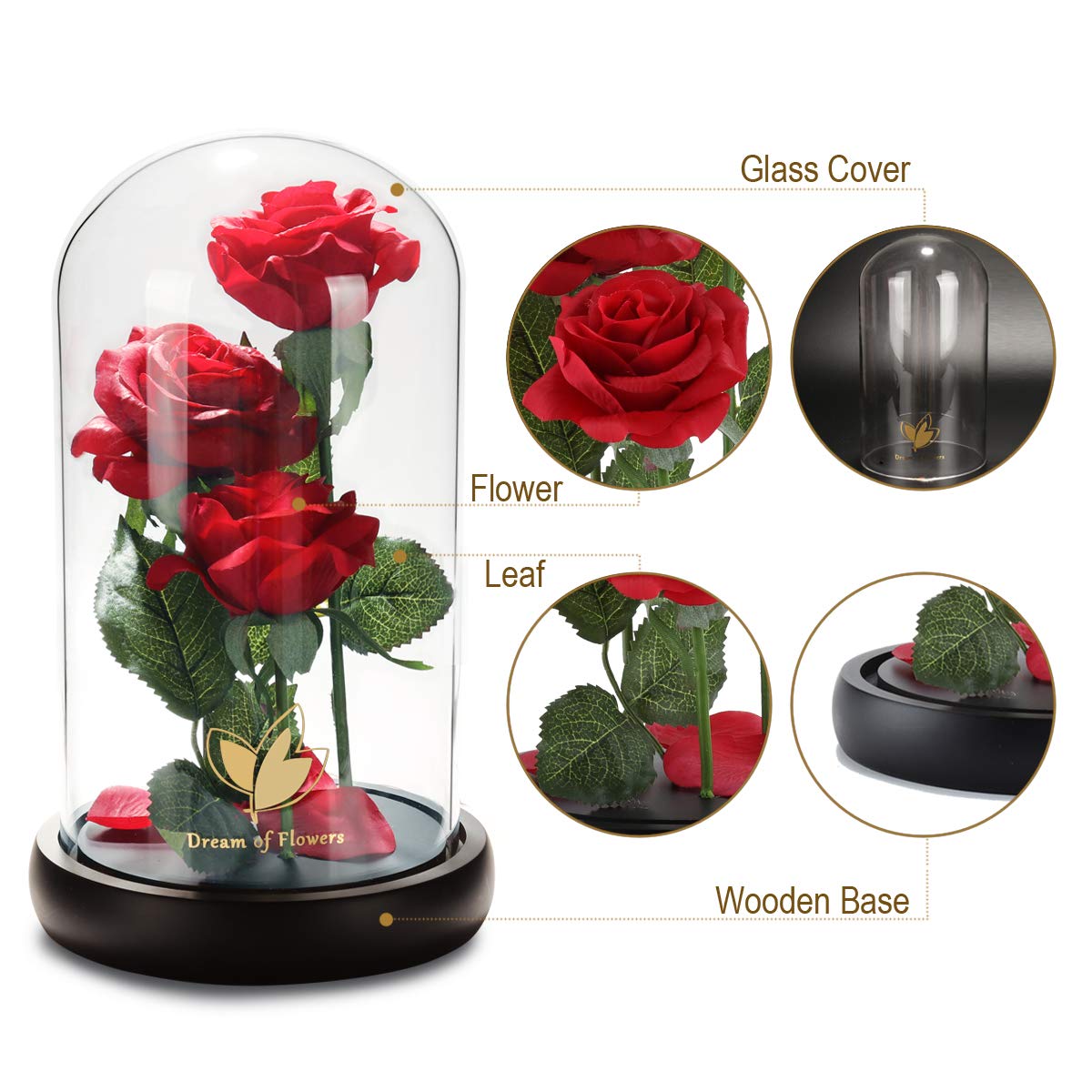 Beauty and The Beast Rose, Classic Red Rose with LED Lights and Falling Petals, Gifts for Women, Birthday Gifts for Women, Light Up Rose in Glass Dome, Valentine's Day Gifts for her