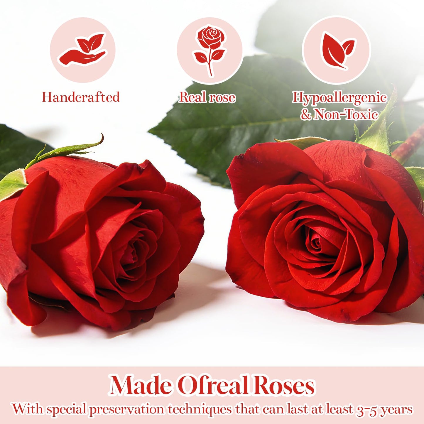 CuteWelt Preserved Roses,Forever Fresh Flowers 7.48in,Gift for Women,Mom,Grandma,Wife,Girlfriend,Sister,and Daughter Perfect for Birthday,Mother’s Day,Valentine’s Day (Mystic Purple2)