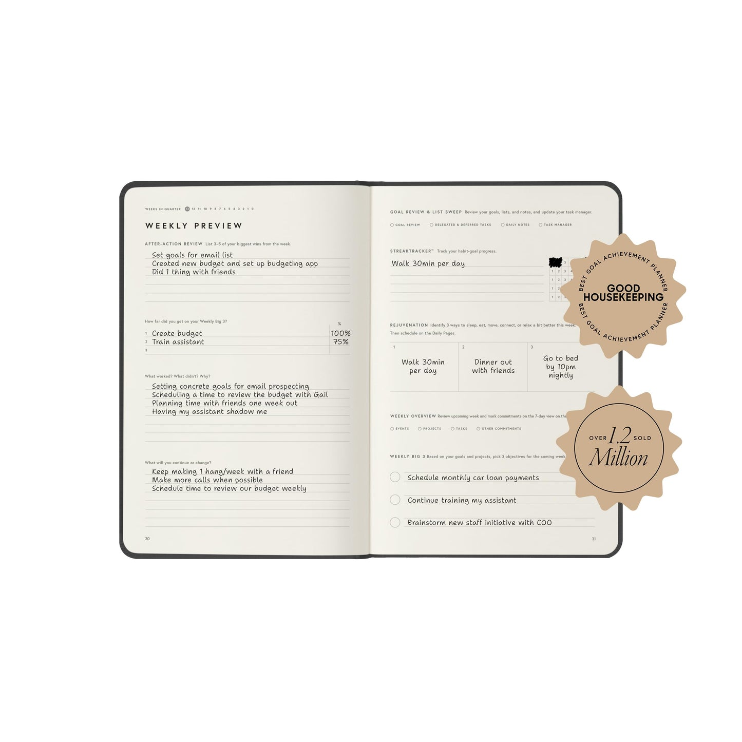 Full Focus Finch Linen Planner by Michael Hyatt - The #1 Daily Planner to Set Annual Goals, Increase Focus, Eliminate Overwhelm, and Achieve Your Biggest Goals - Hardcover
