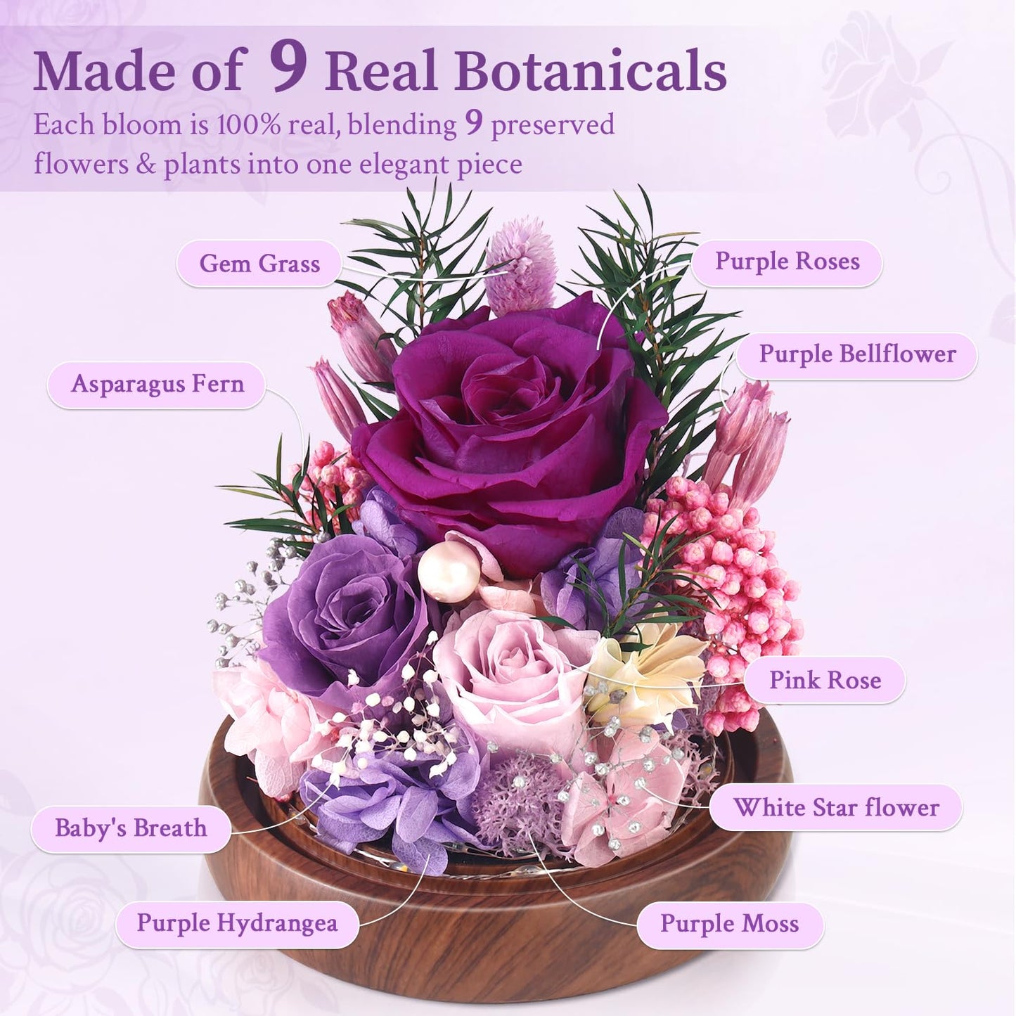 ChosiaRose Preserved Flowers for Delivery - Preserved Roses Forever Flowers Gifts for Mom Grandma,Forever Purple Roses Gift in Acrylic Dome for Her Birthday Flower Gift for Women Wife Mother Valentine