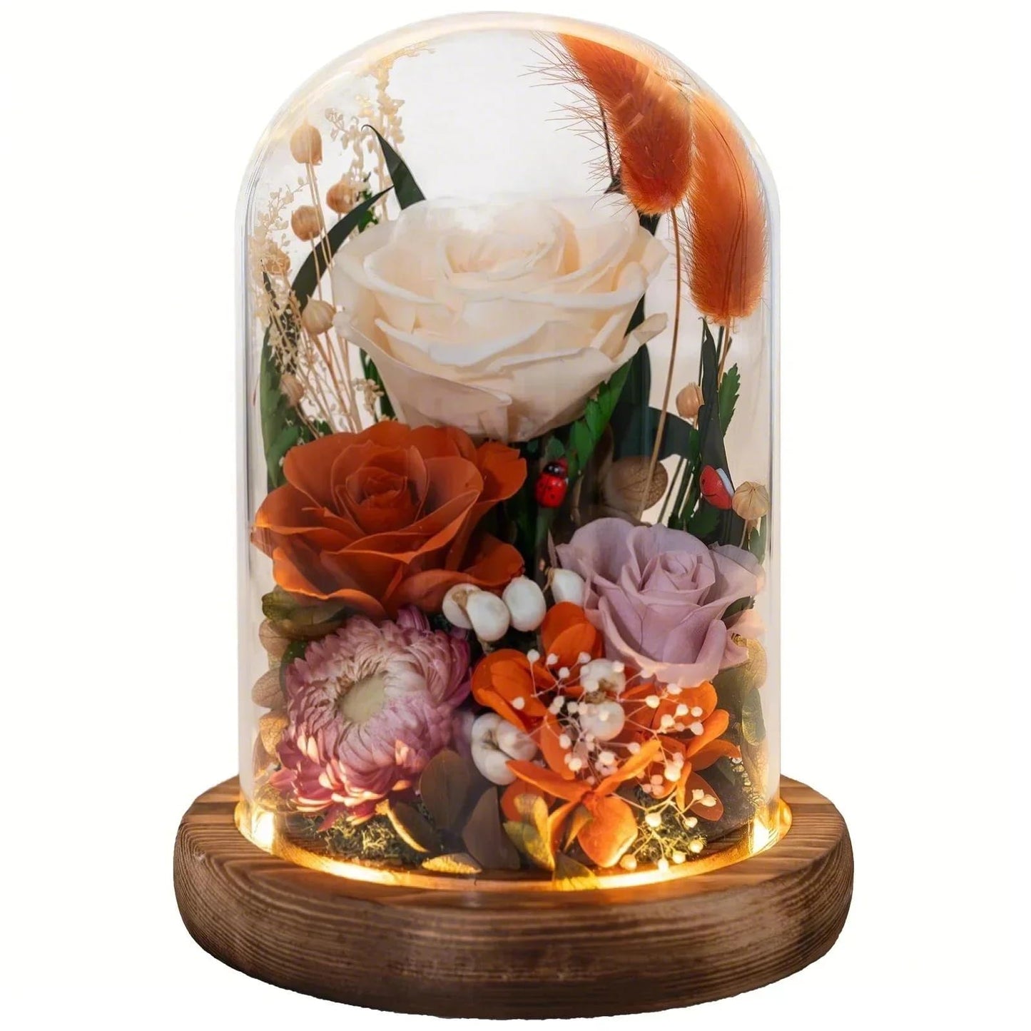 HUACHIPLUS Forever Flower Gifts for MOM:Perfect Mothers Day Flowers for Mom Wife Grandma-Preserved Flower with Symbolic Ladybugs–Flowers for Delivery Prime on Anniversary Birthday (Orange)