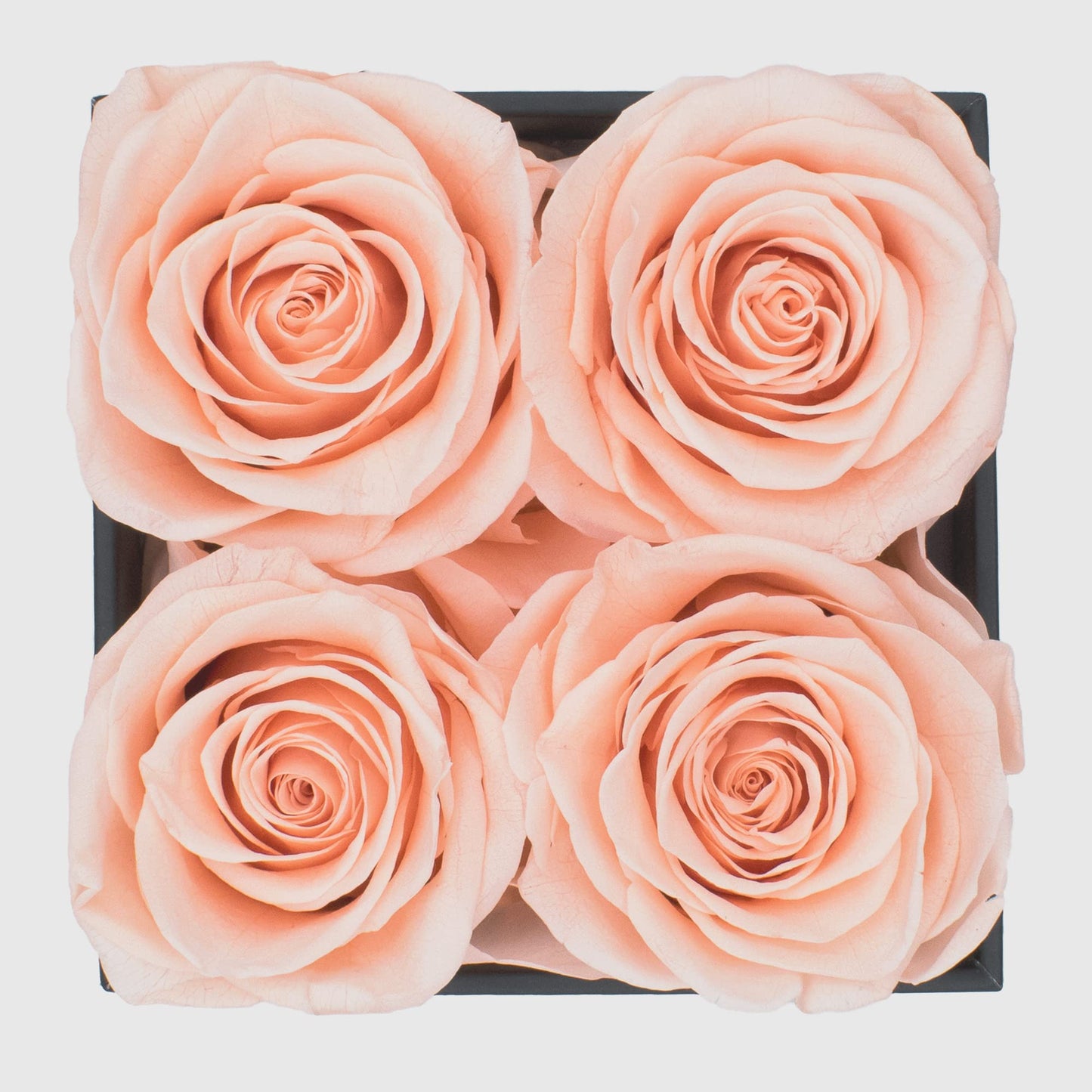 Graceful Fleurs Real Long Lasting Roses in a Box for Years, Preserved Fresh Forever Flowers for Delivery Birthday, Mothers Day Floral Gifts for Women (Light Peach, Black Box, 4 Roses)
