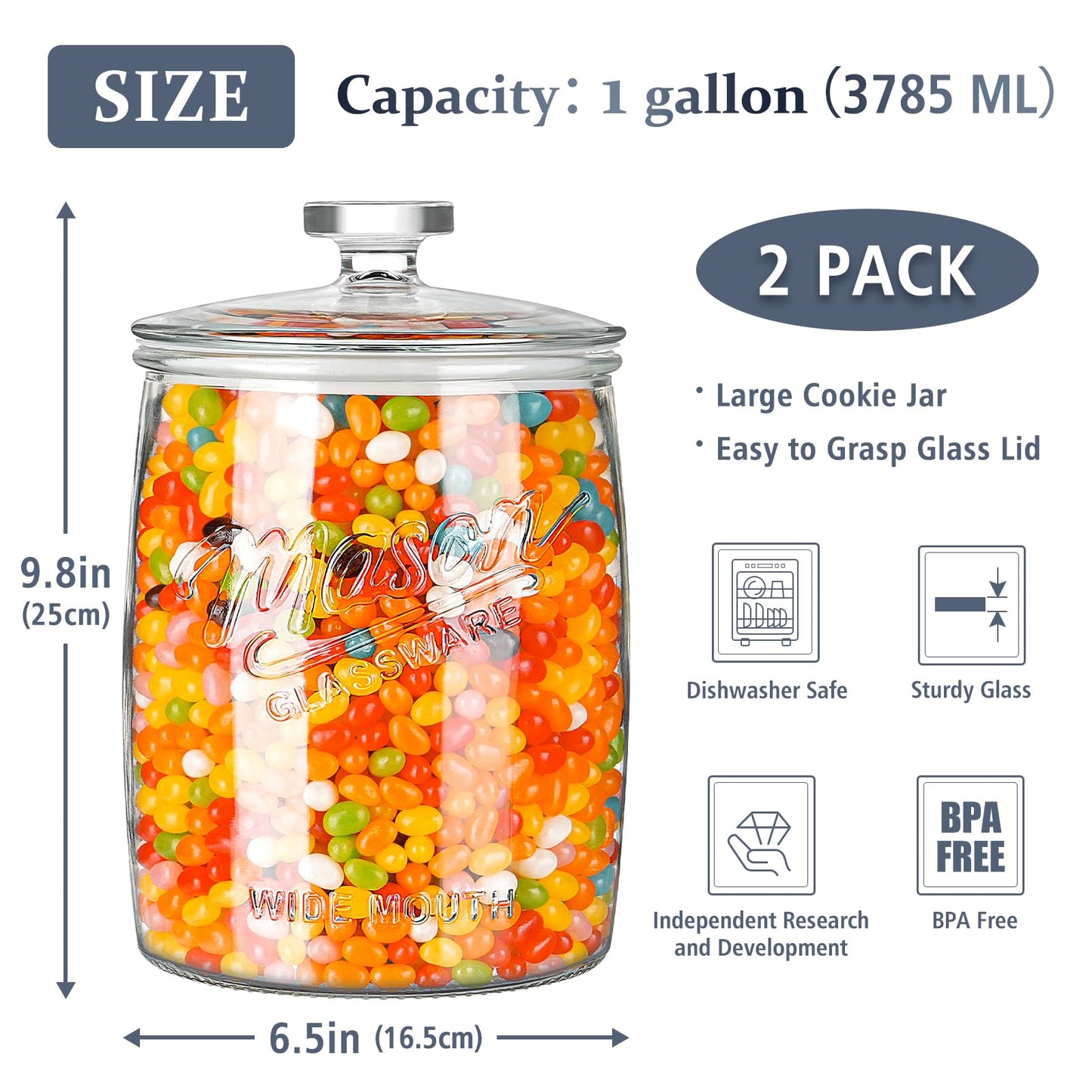 Folinstall 2 Pack 1 Gallon Glass Cookie Jar, Large Glass Jar with Airtight lid, Glass Food Storage Container for Cookies, Candy, Flour, Dog Treats, Coffee, Apothecary Jars