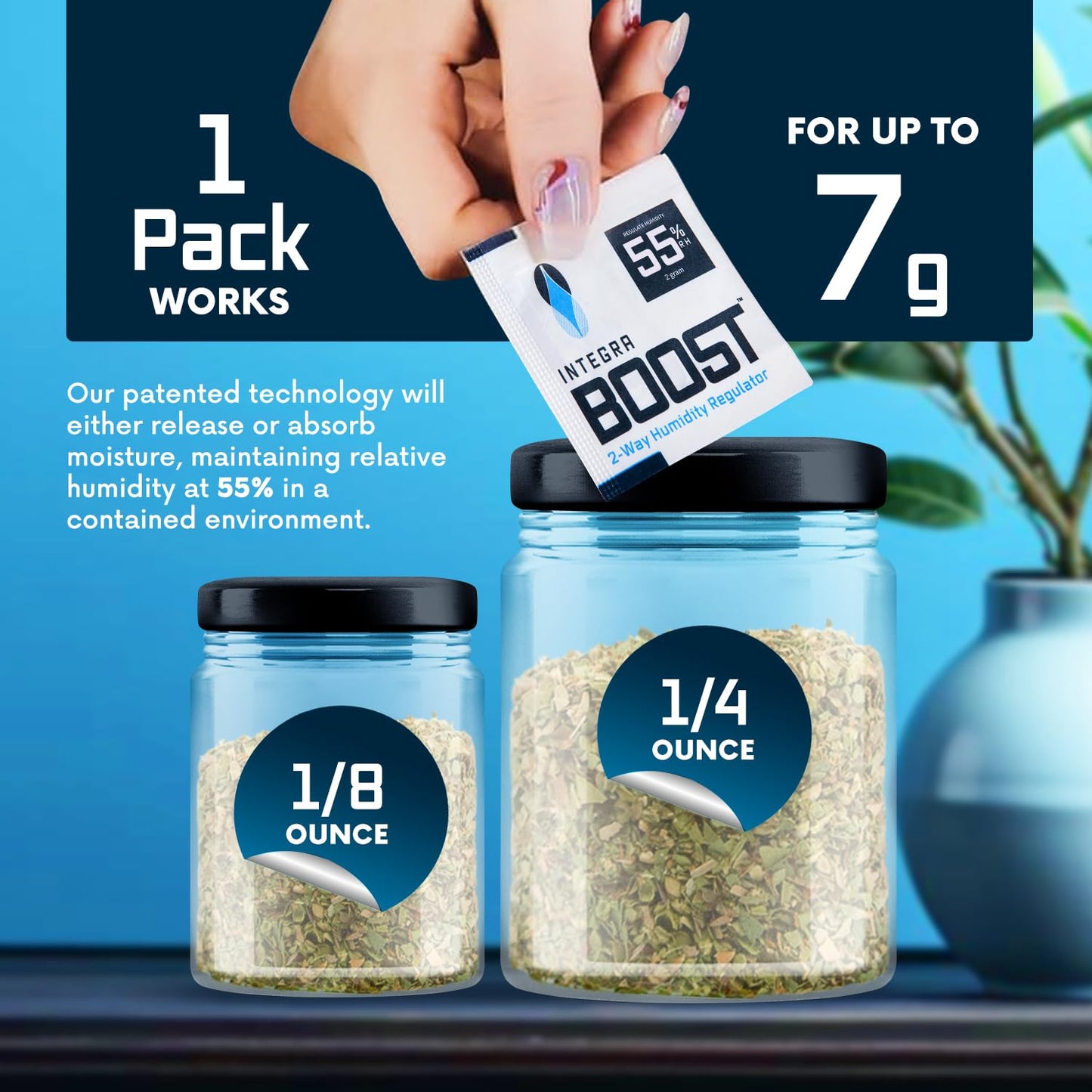 Integra Boost 2-Way Humidity Control Pack - Preserve Flavor & Control Humidity at 55% RH - Moisture Absorber for Herbs, Spices & More - 2 Gram (Pack of 50)
