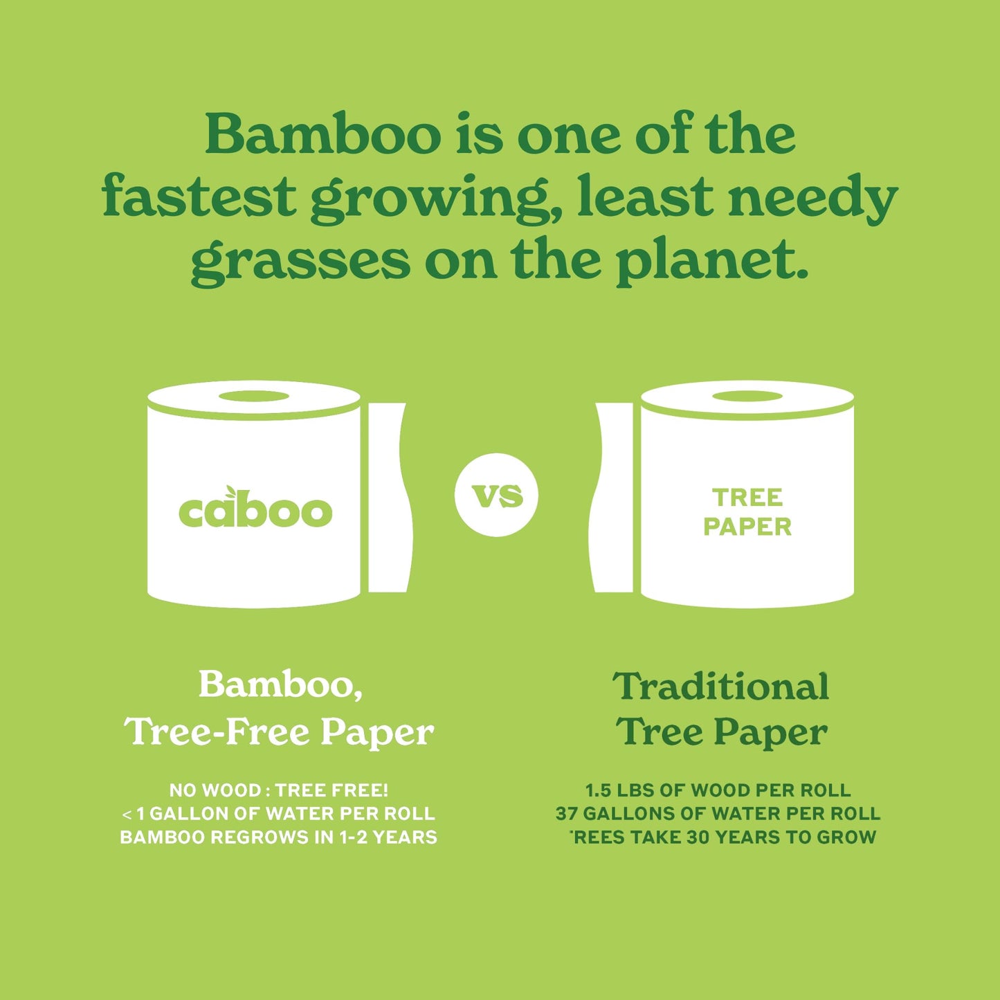 Caboo Tree Free Paper Towels, 6 Rolls, Plastic Free & Eco Friendly, Earth Friendly, Sustainable Kitchen Paper Towels with Strong 2 Ply Sheets
