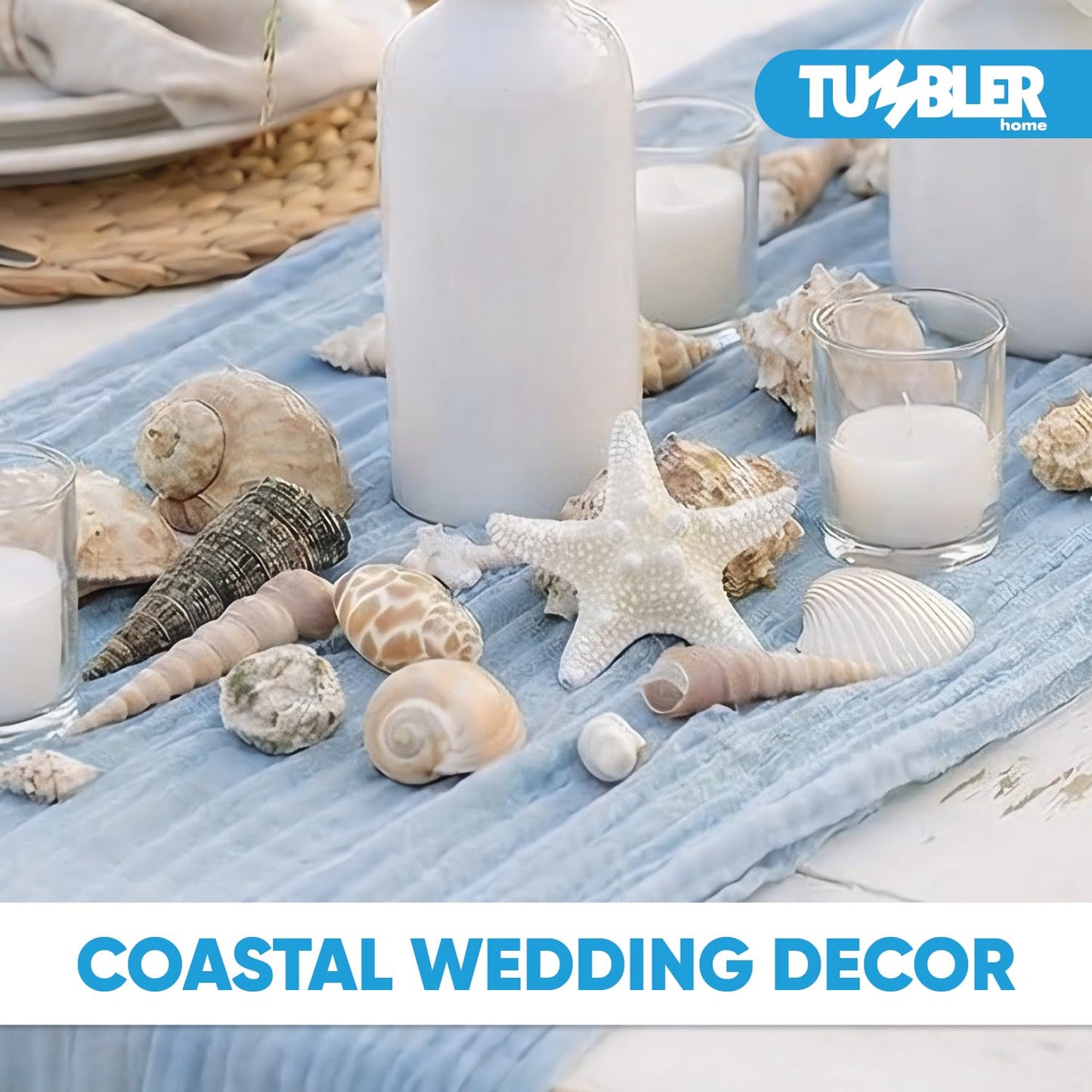 Medium Sized Shells in a Delightful Mix of Whites, Tans and Pinks | 3 Pounds | Bulk Shells for Crafts, Beach Home Decor, Weddings, Vase Filler and Classrooms