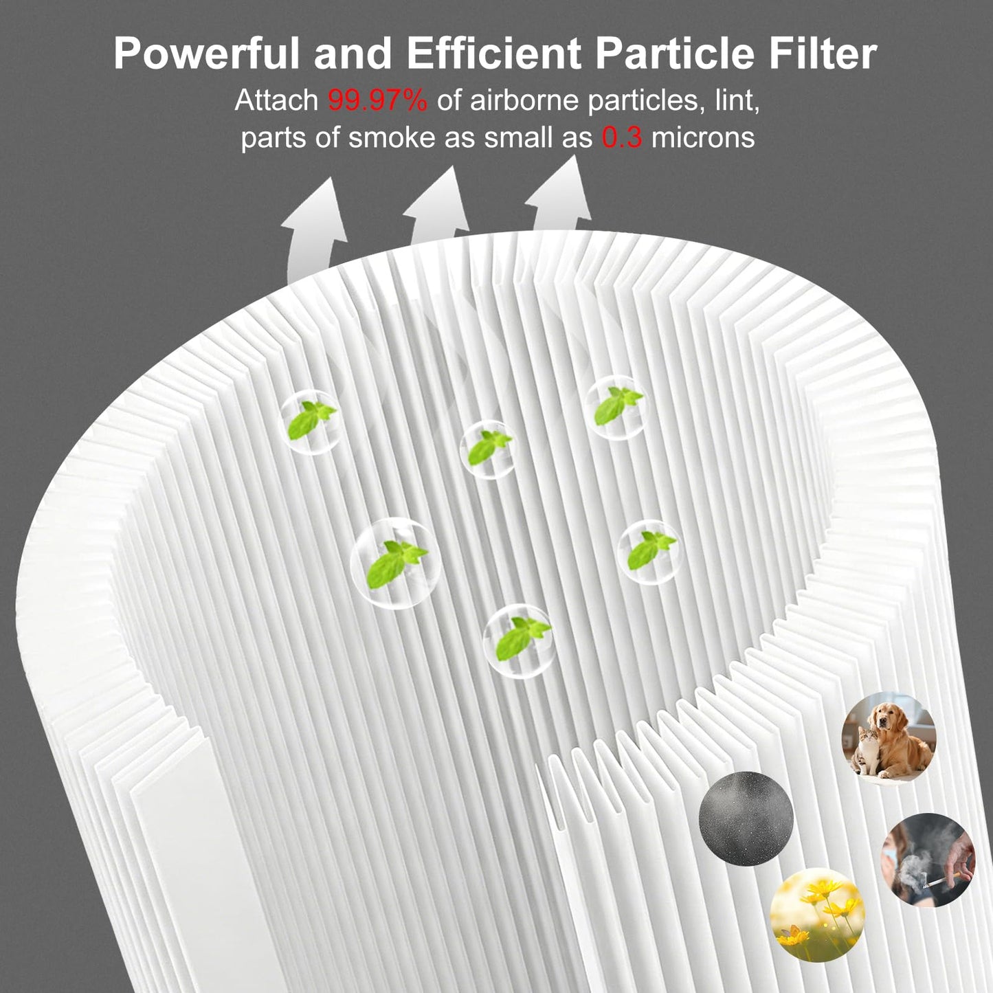 HP302/HP301/HP201 Replacement Filter and 6 Pre-filters Compatible with Shark HP202/HP230/HP231/UA205/AP1000/HC501/HC502, Absorb 99.97% Particulate, Compare Part#: HE2FKBASMB/HE2FKBAS/HE2FKPRO/HE2FKPET