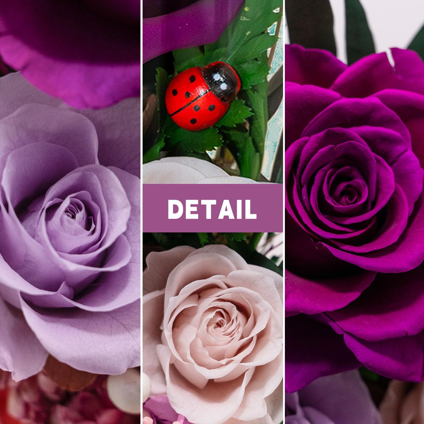 HUACHIPLUS Forever Flower Gifts for MOM:Perfect Mothers Day Flowers for Mom Wife Grandma-Preserved Flower with Symbolic Ladybugs–Flowers for Delivery Prime on Anniversary Birthday (Purple)