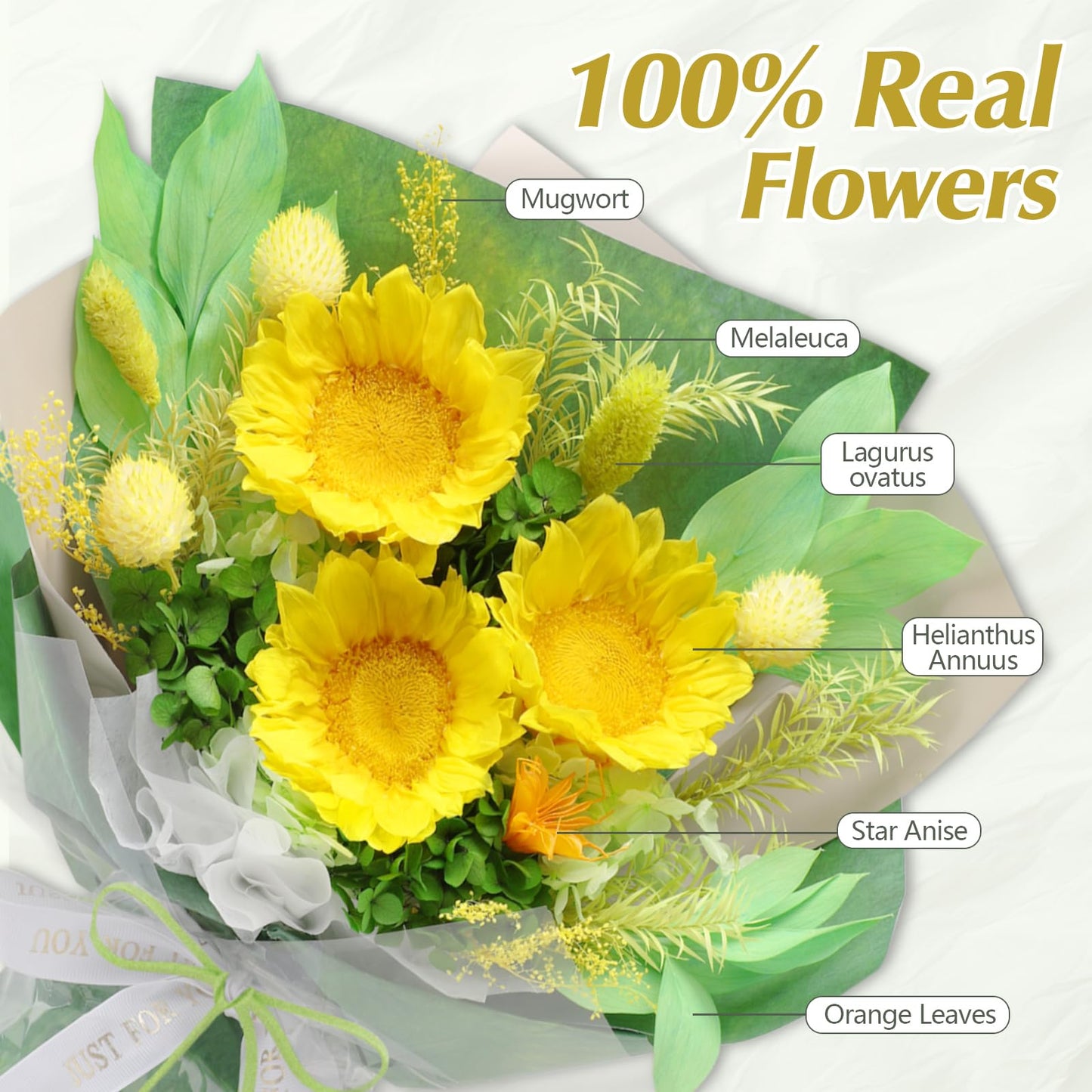 Casaido Preserved Flowers for Delivery, Mothers Day Sunflower Bouquets with Necklace, Forever Flowers Anniversary Birthday Gifts for Women Mom Wife Girlfriend, Eternal Flowers for ValentinesChristmas