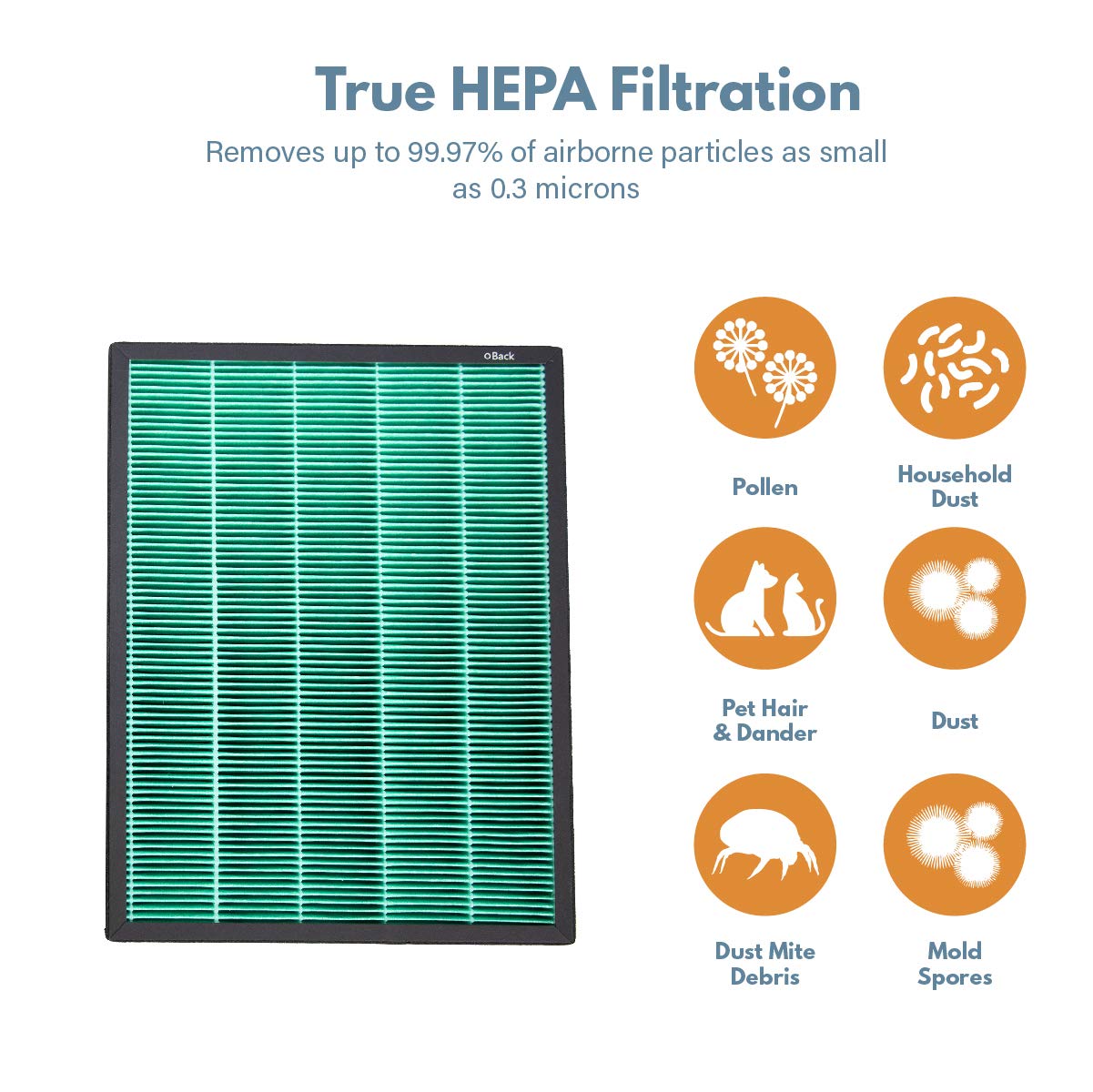 Filter-Monster Replacement with Carbon Filter Set Compatible with Coway Airmega 400/400S Max 2 Filter for Airmega 400 Air Purifier, 2 Pack