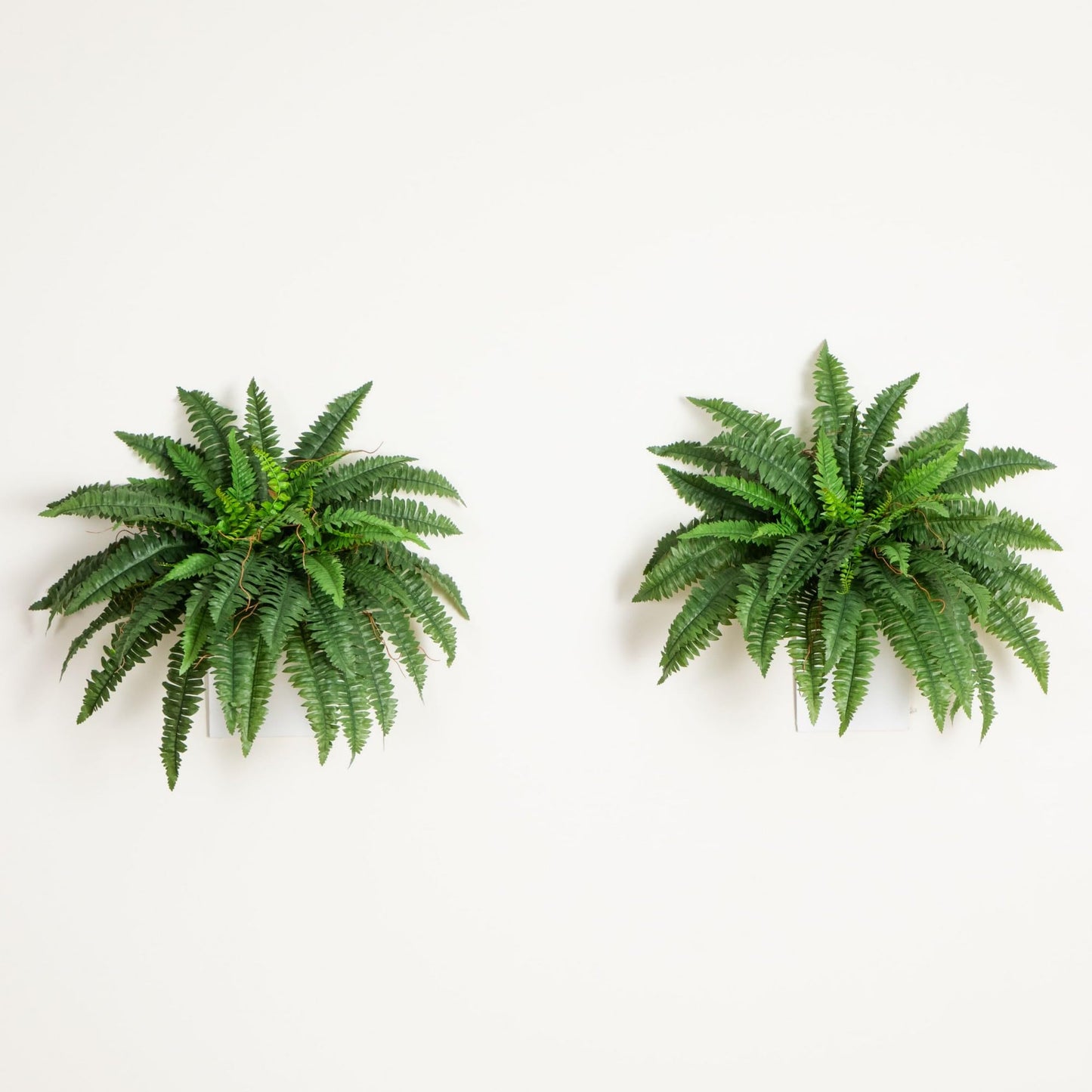 Nearly Natural 40in Hanging Artificial Boston Fern Plant Set of 2 - Realistic Faux Greenery for Indoor Home, Office, and Bathroom Decor