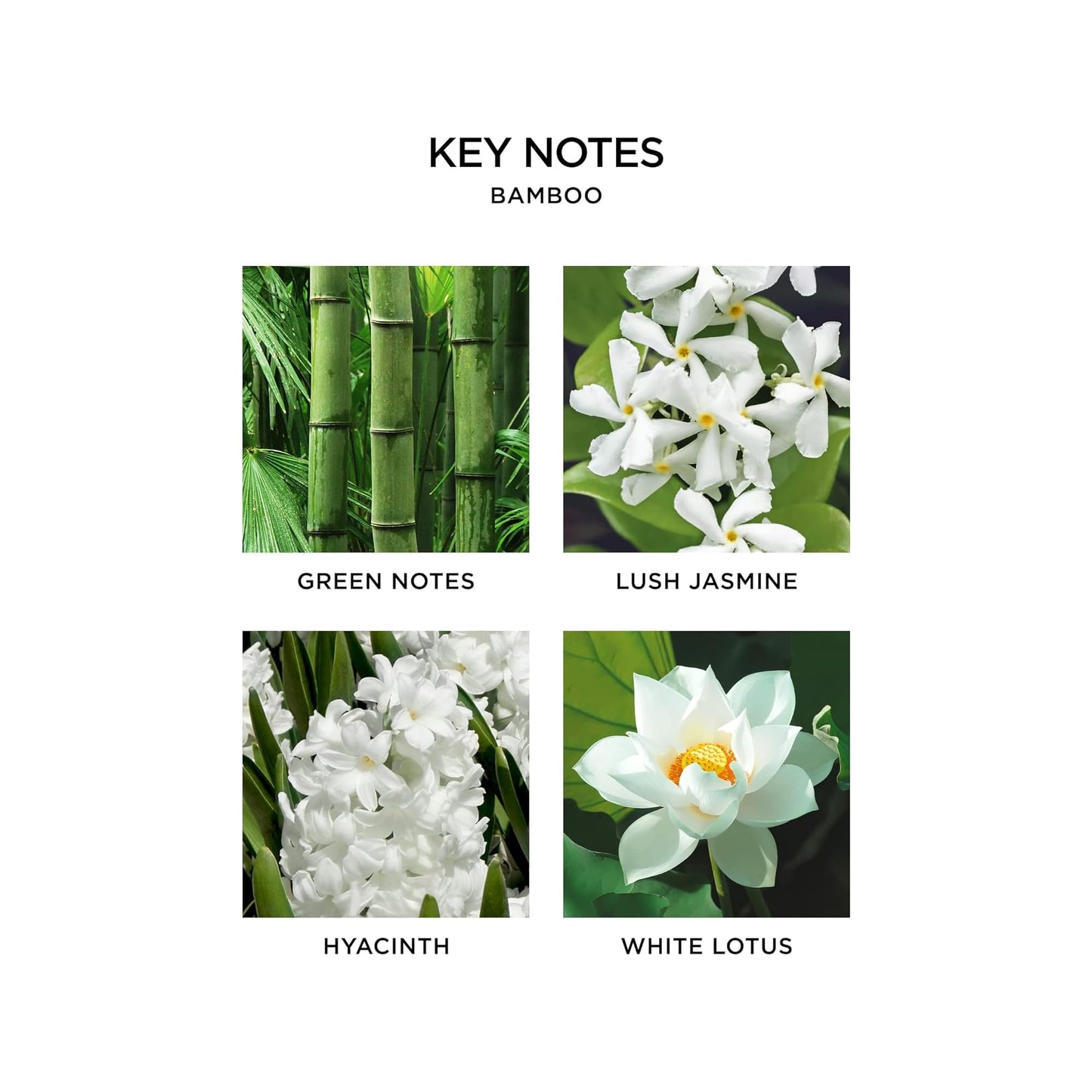 NEST New York Smart Home Fragrance Diffuser Refill Smart Vials, Bamboo - Set of 2 - Designed for NEST x Pura 3 and NEST x Pura 4 Diffusers - Cruelty Free, Vegan