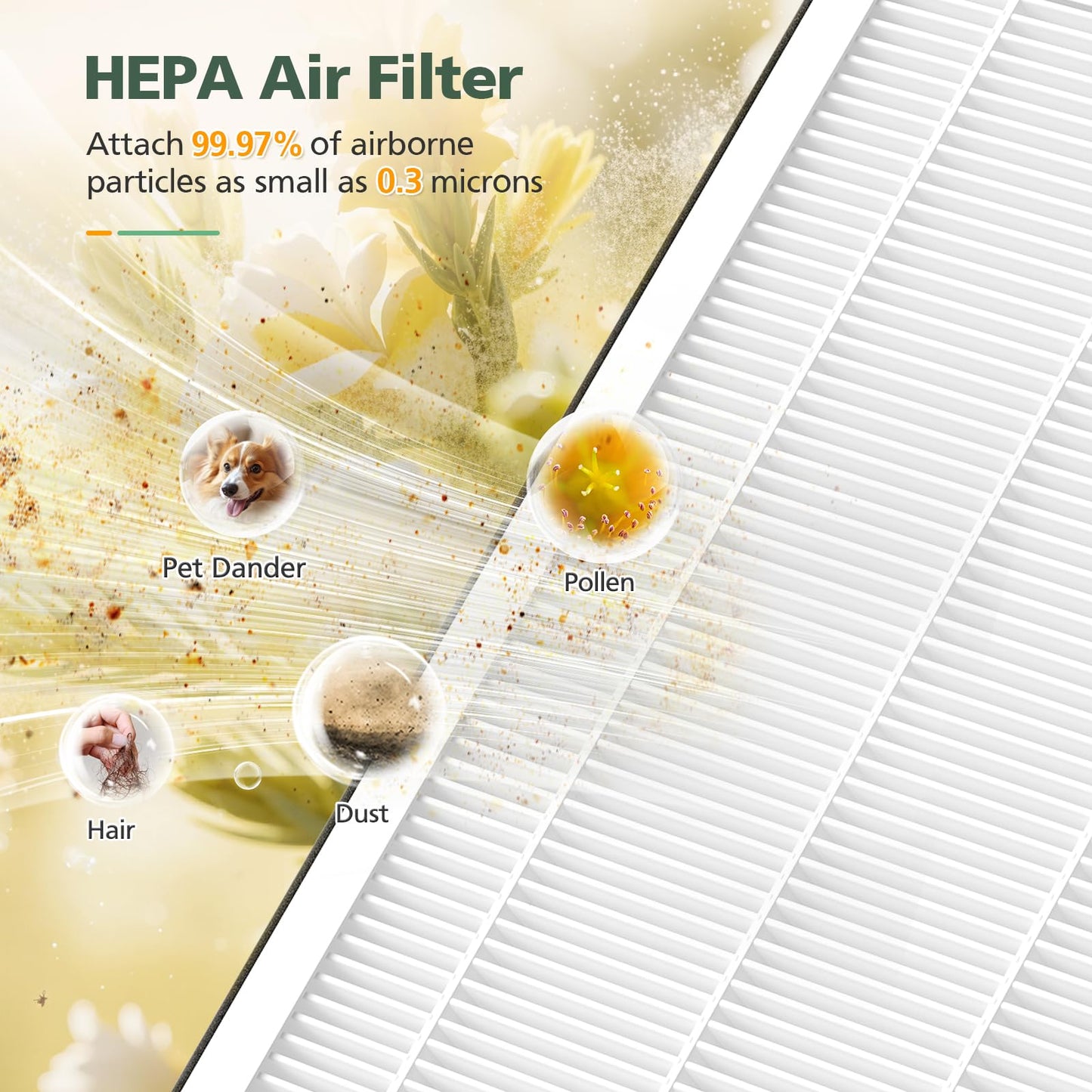 AP2410 Replacement Filter Compatible with DBFIT AP2410 Air Purifi-er, HEPA Air Filter and Activated Carbon Filter for Dust Pets Pollen Smoke, 2 Pack(White)