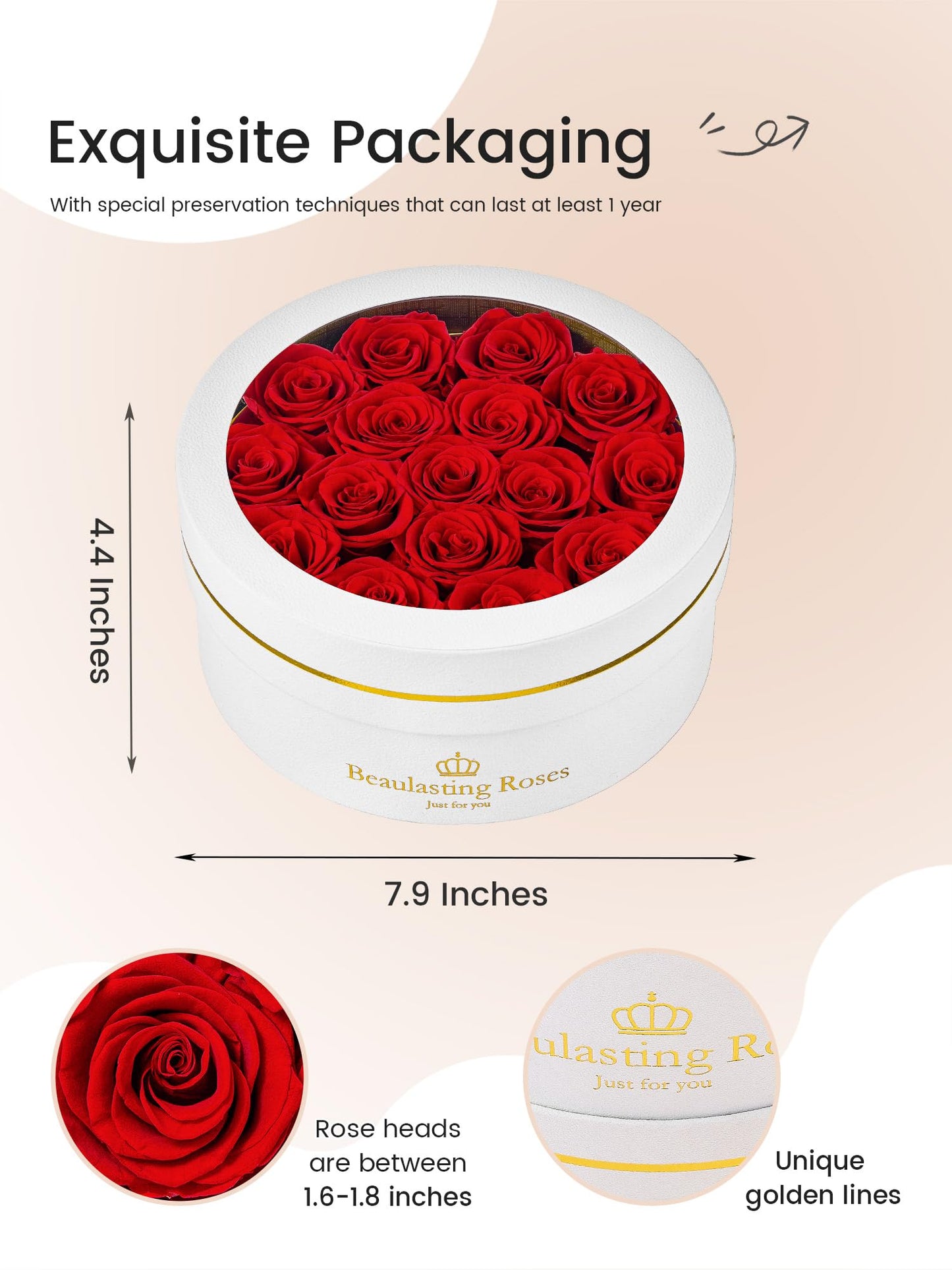 16 Preserved Roses Forever Flowers Real Roses in a Box Mother's Day Birthday Flowers for Her Mom Women Wife Valentine's Day, Red Roses