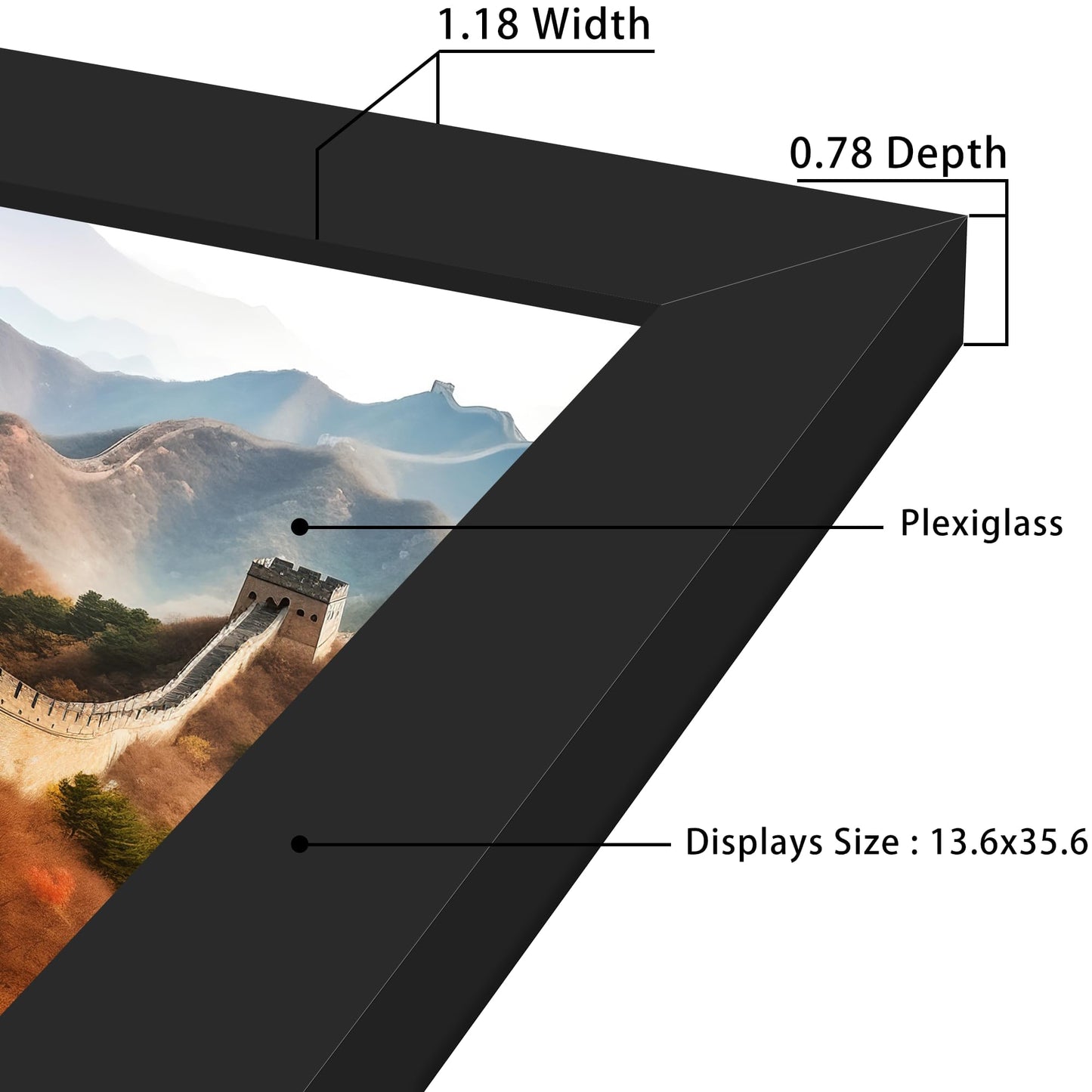 Picrit 14x36 Poster Frame, Photo Frame for Wall Mounting Display, Black