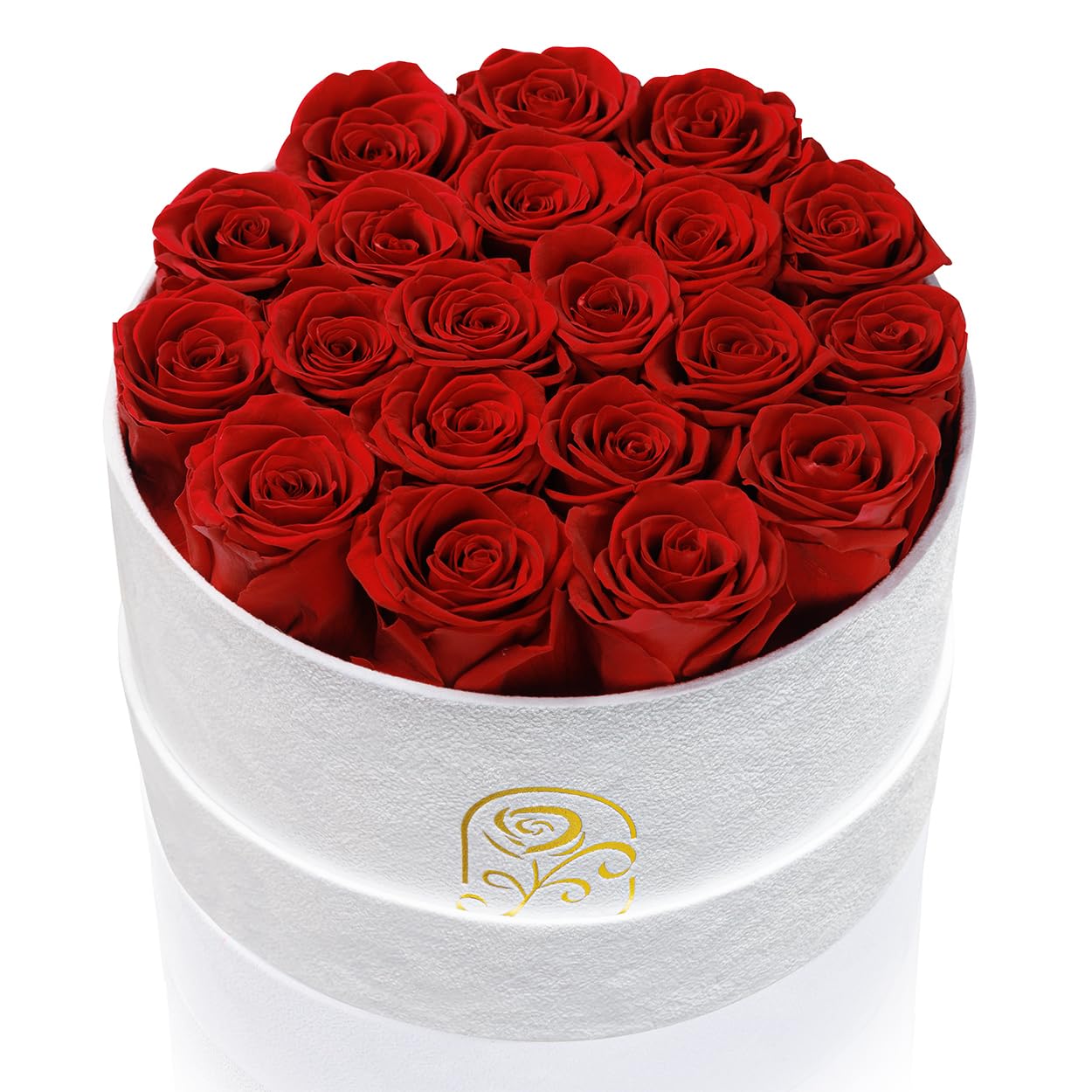Gifts for Women Preserved Roses Flower Box, Luxury Velvet Box with 20 Roses, Preserved Flowers, Romantic Gift for Her, Wife, Girlfriend, Birthday Anniversary Christmas (Red)