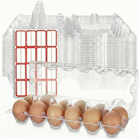 Tanlade 100 Pcs Plastic Egg Carton, 12 Grids Clear Chicken Egg Tray Disposable Plastic Holder Empty Container for Farm Refrigerator Fresh Storage