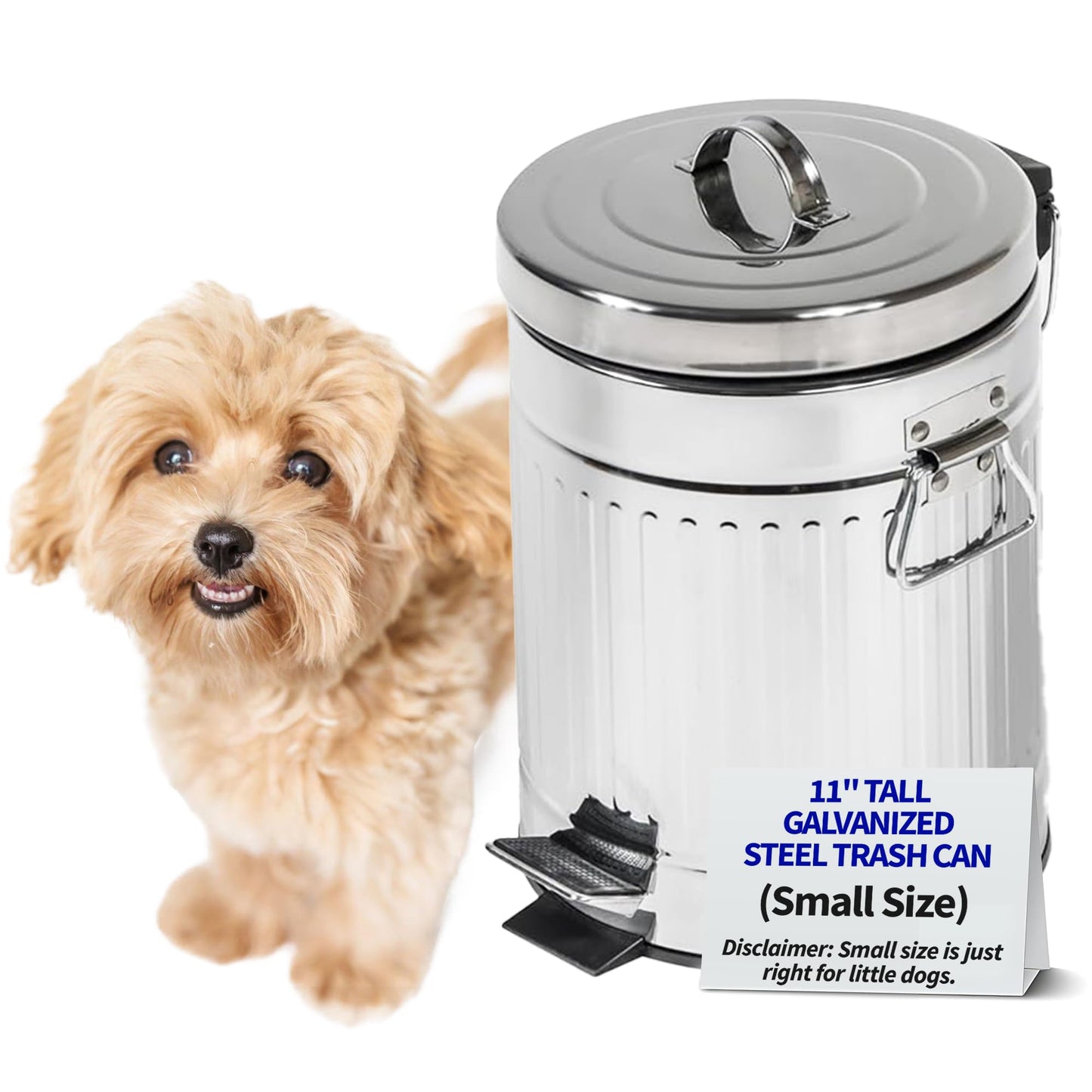 Pet Fit For Life - Steel Trash Can with Lid, Steel Galvanized Trash Can, Step Foot Pedal, Plastic Inner Lining, Liner Bags, Weather-Resistant Outdoor Bin for Yard, 11" Tall, 5L/1.3 Gallons - Small