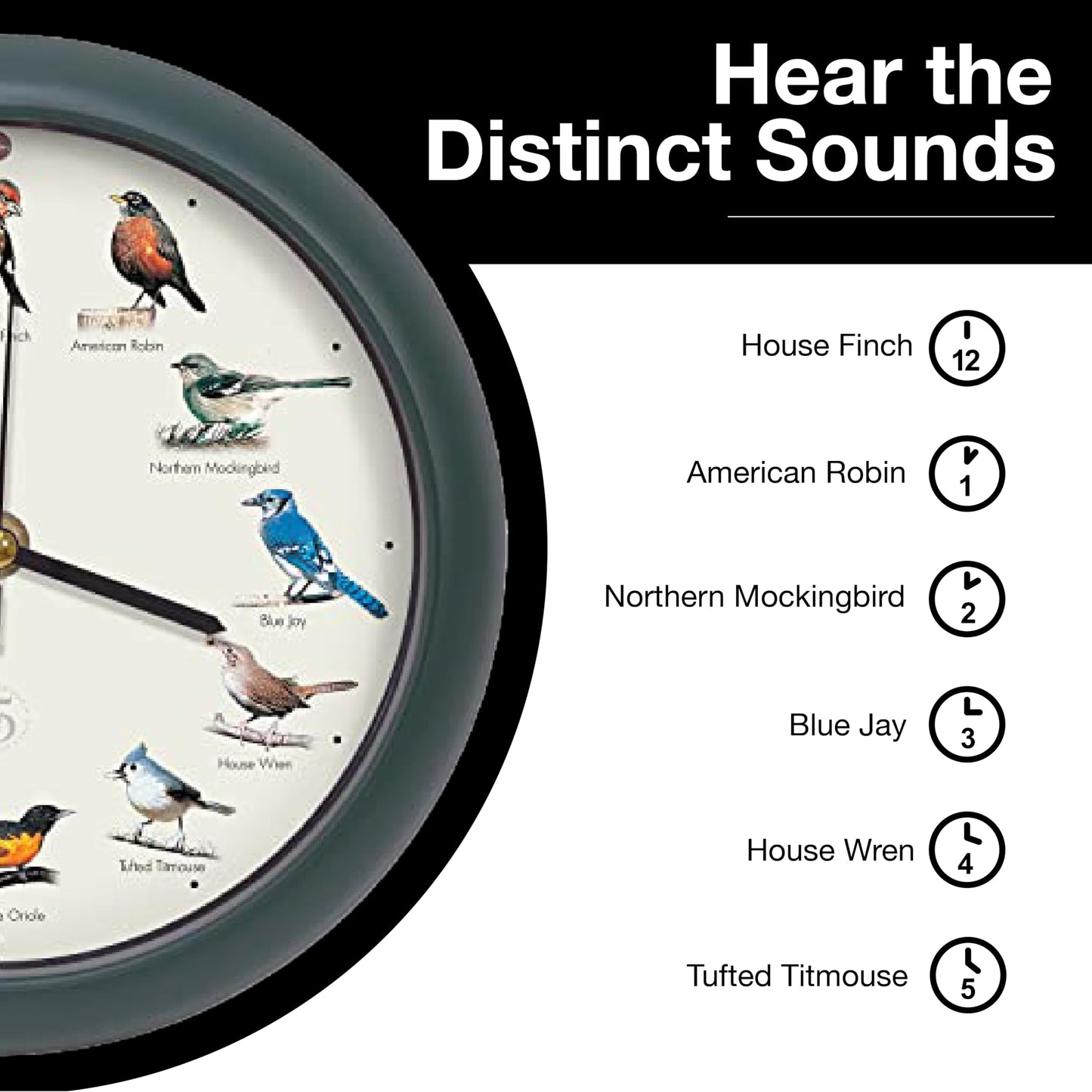 Mark Feldstein, The Original Singing Bird Clock, 25th Anniversary Edition, 8 Inch, Green