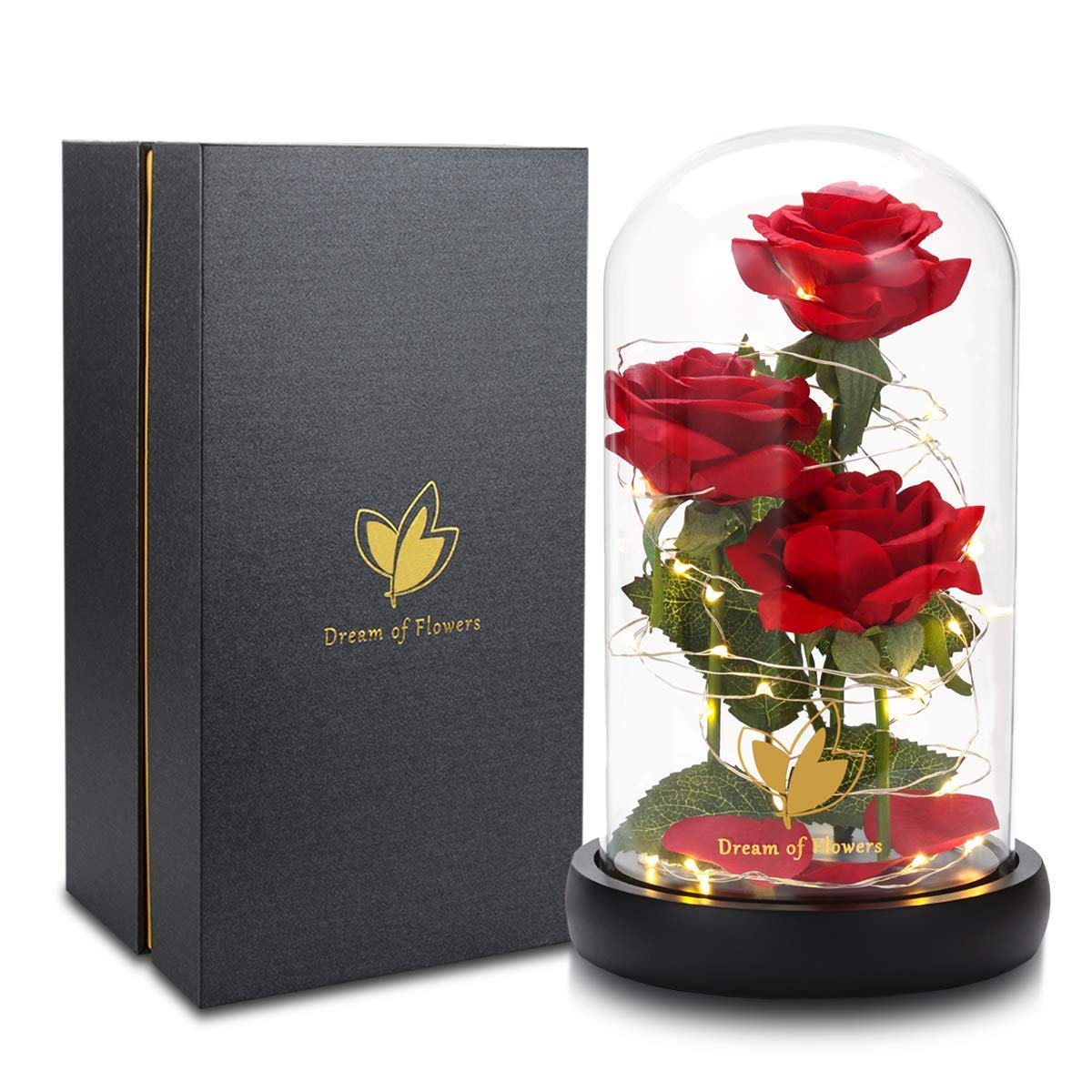 Beauty and The Beast Rose, Classic Red Rose with LED Lights and Falling Petals, Gifts for Women, Birthday Gifts for Women, Light Up Rose in Glass Dome, Valentine's Day Gifts for her
