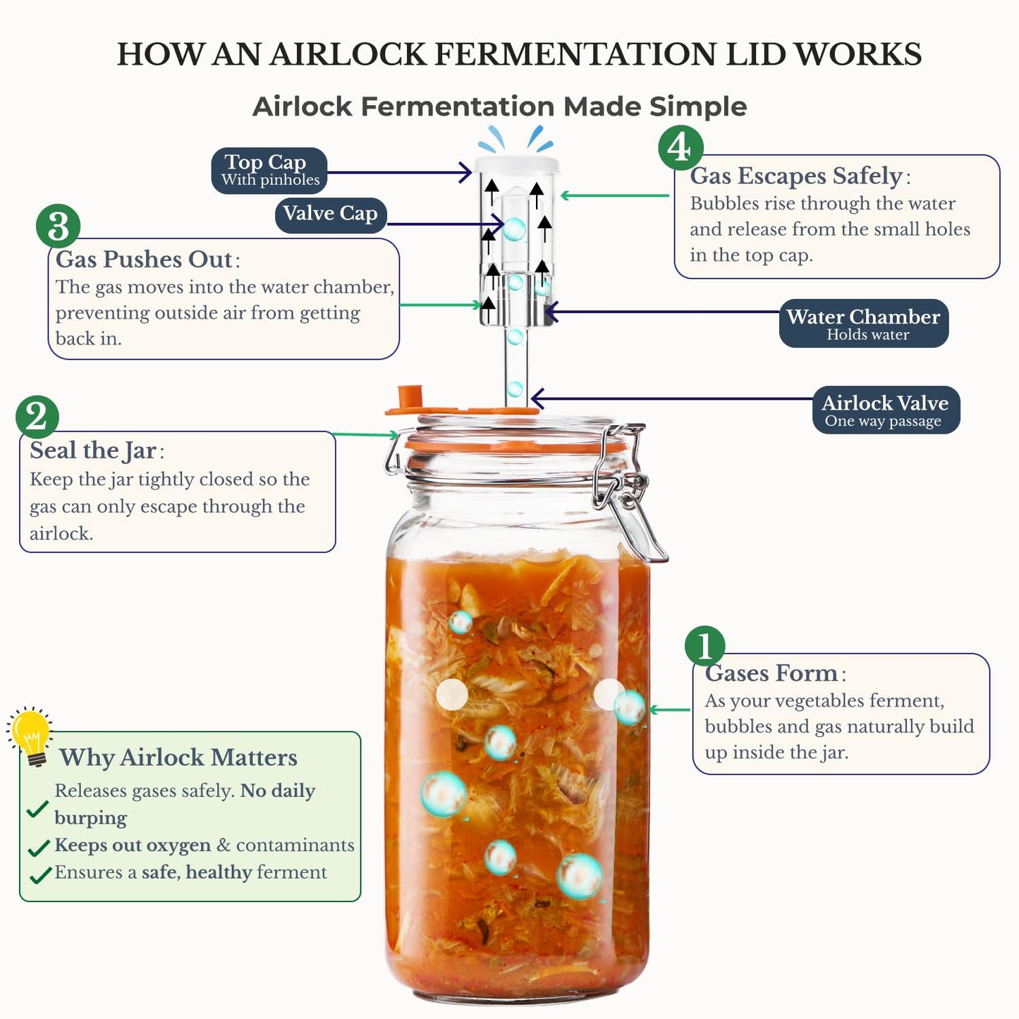 JILLMO Wide Mouth Glass Fermentation Jar with Airlock & Glass Weight, 2L (64oz) Fermenting Jar for Sauerkraut, Kimchi, Pickles & More,Pack of 2