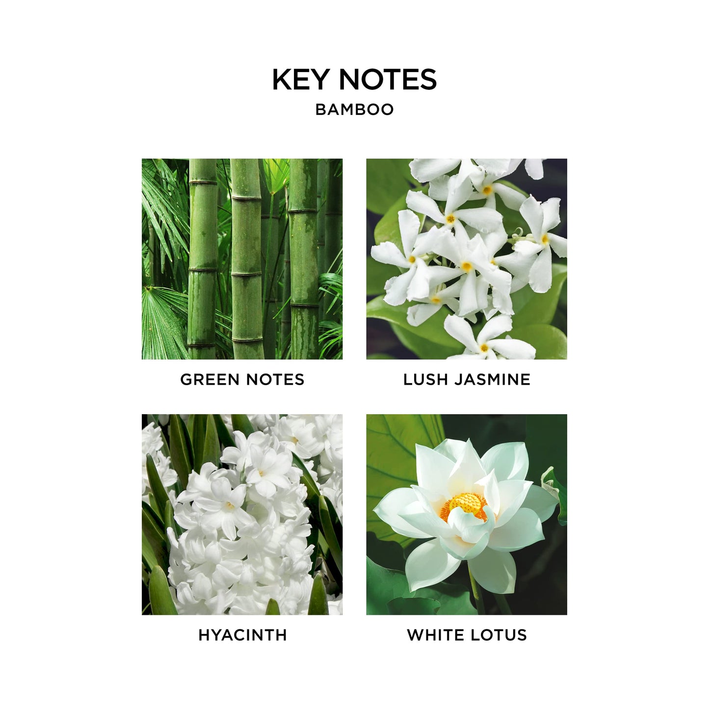NEST New York Wall Diffuser Refill Vials, Bamboo - Set of 2 - Up to 60 Days of Continuous Scent - Cruelty Free, Vegan - Made in USA
