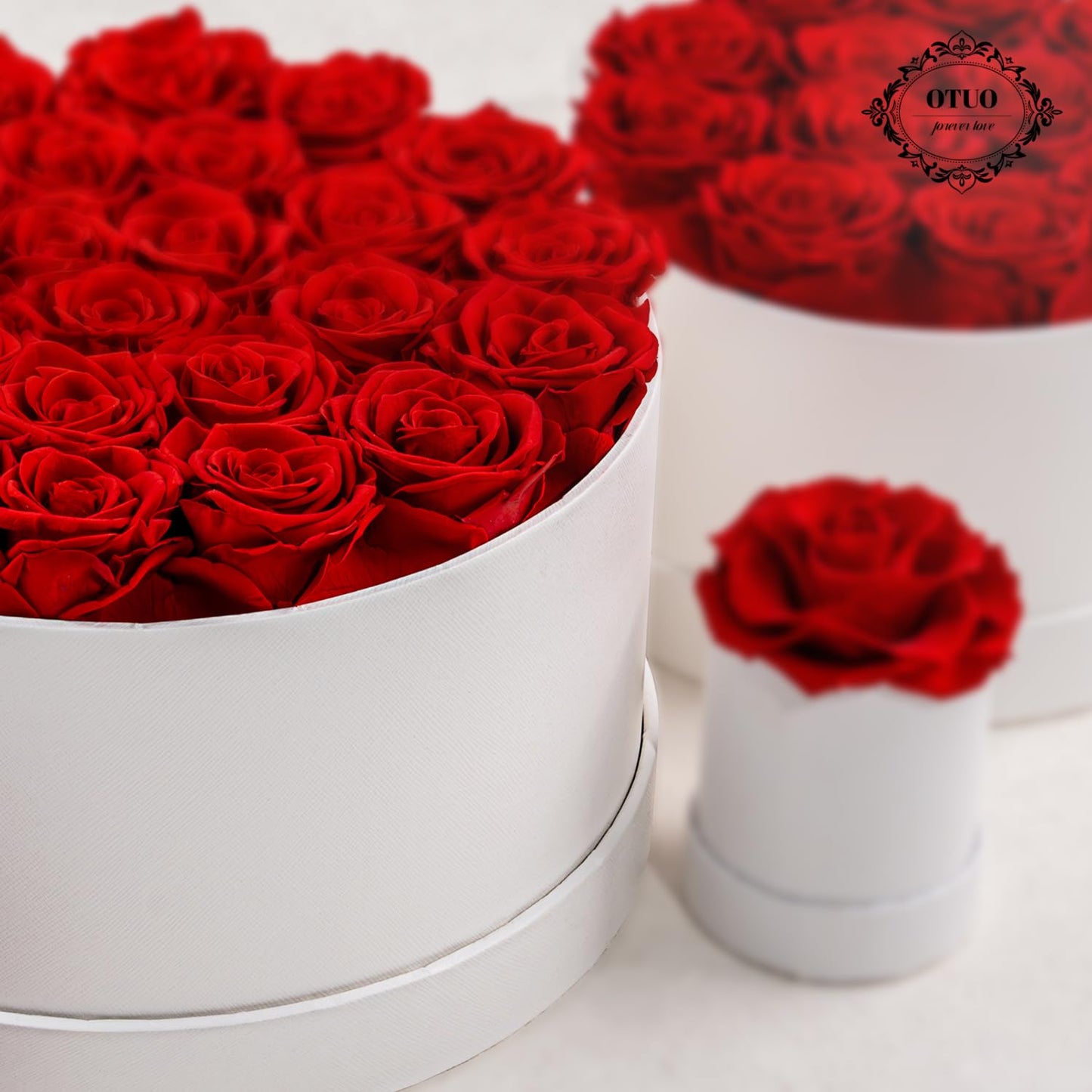 Otuo 27 Piece Preserved Roses in a Box - Forever Flowers for Delivery Prime, Eternal Roses Mothers Gifts for Mom, Valentine's Day, Wife Anniversary Birthday Gifts for Women(Red)