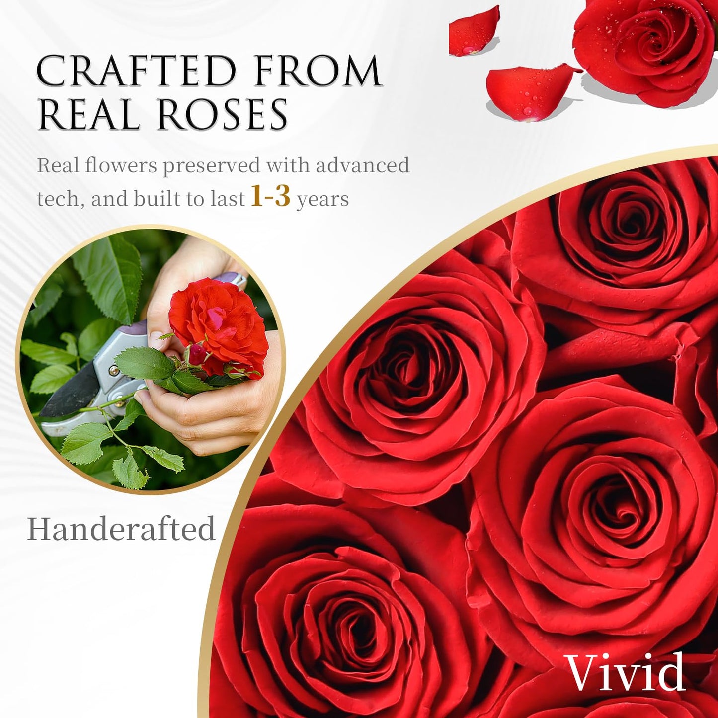 ChosiaRose Flowers Forever Preserved Roses - 27 Preserved Flowers for Delivery Women Birthday Gifts for Mom Grandma Forever Flower in a Box Rose Gift for Her Wife Anniversary Valentines Gift for Women