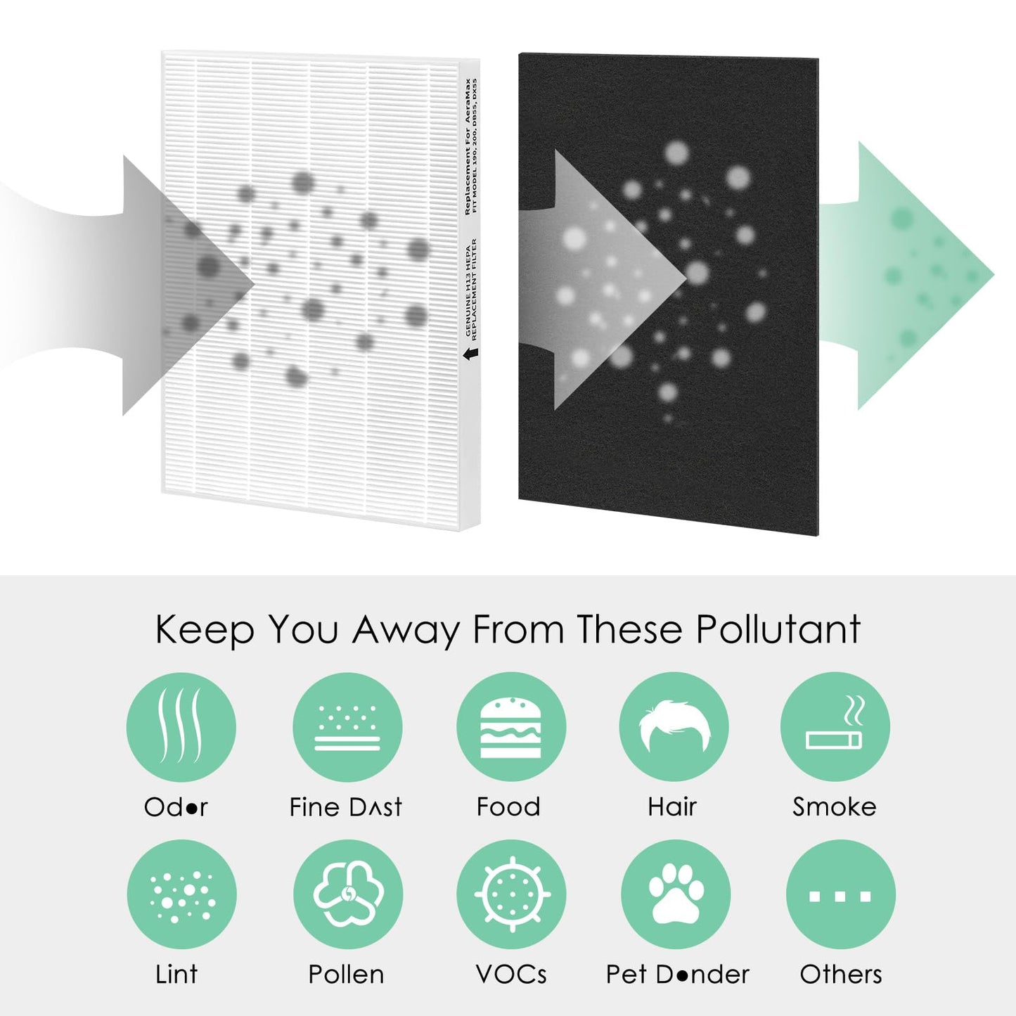 HSIAMEN Filter Compatible with Fellowes Aeramax 200 Filter Replacement Aera Max 190 200 DX55 Part# 9287101 9324101 Air Purifier, Includes 2 High-Efficiency & 6 Carbon Activated Pre-Filter