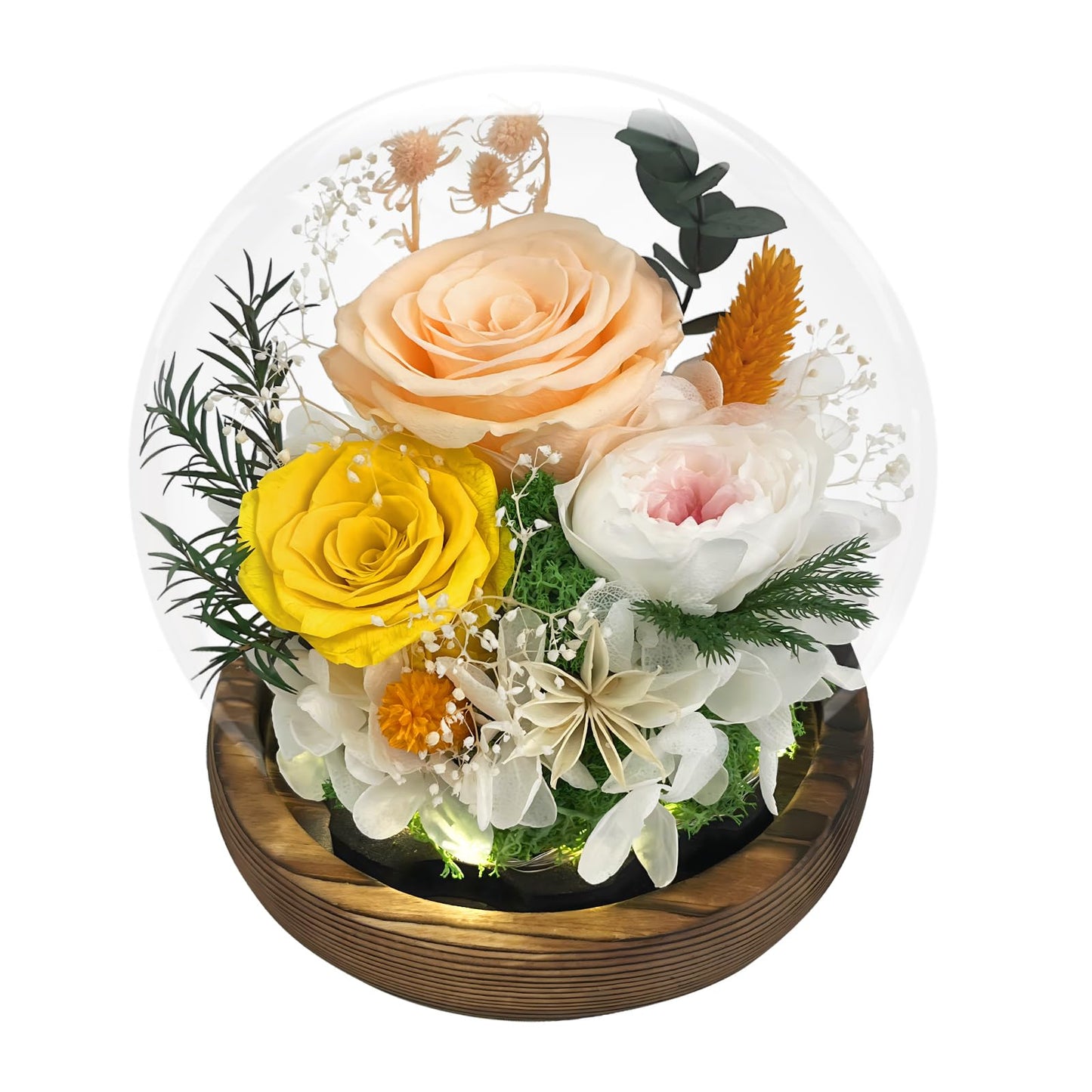 FIACO Gifts for Mom Flowers for Delivery Birthday Gifts for Women Grandma Forever Preserved Eternal Rose in Glass Dome Mother Days Valentines Anniversary for Girlfriend Wife Her, Champagne