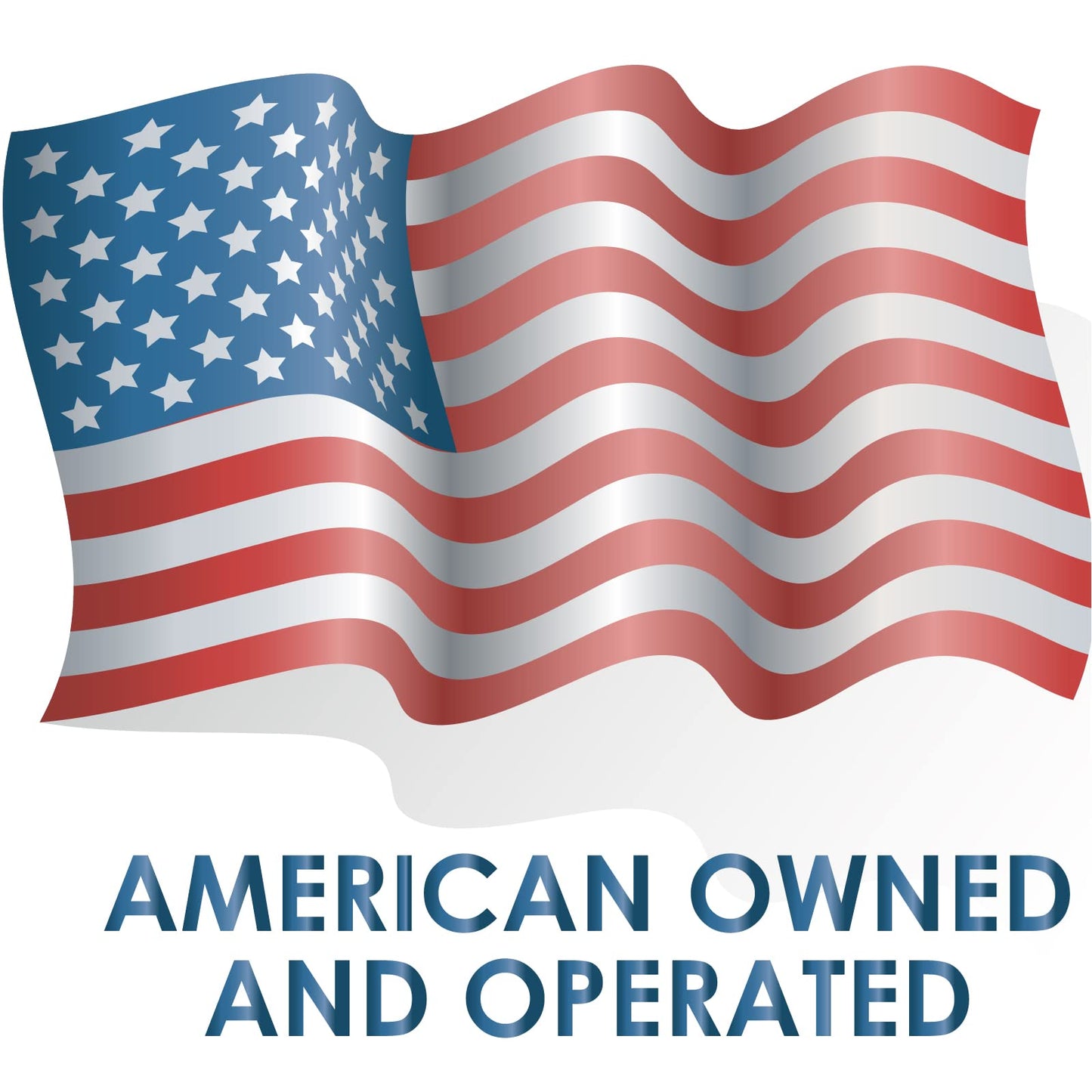 (2) Aftermarket Adjustable Stabilizer Chains Fits Several Makes and Models