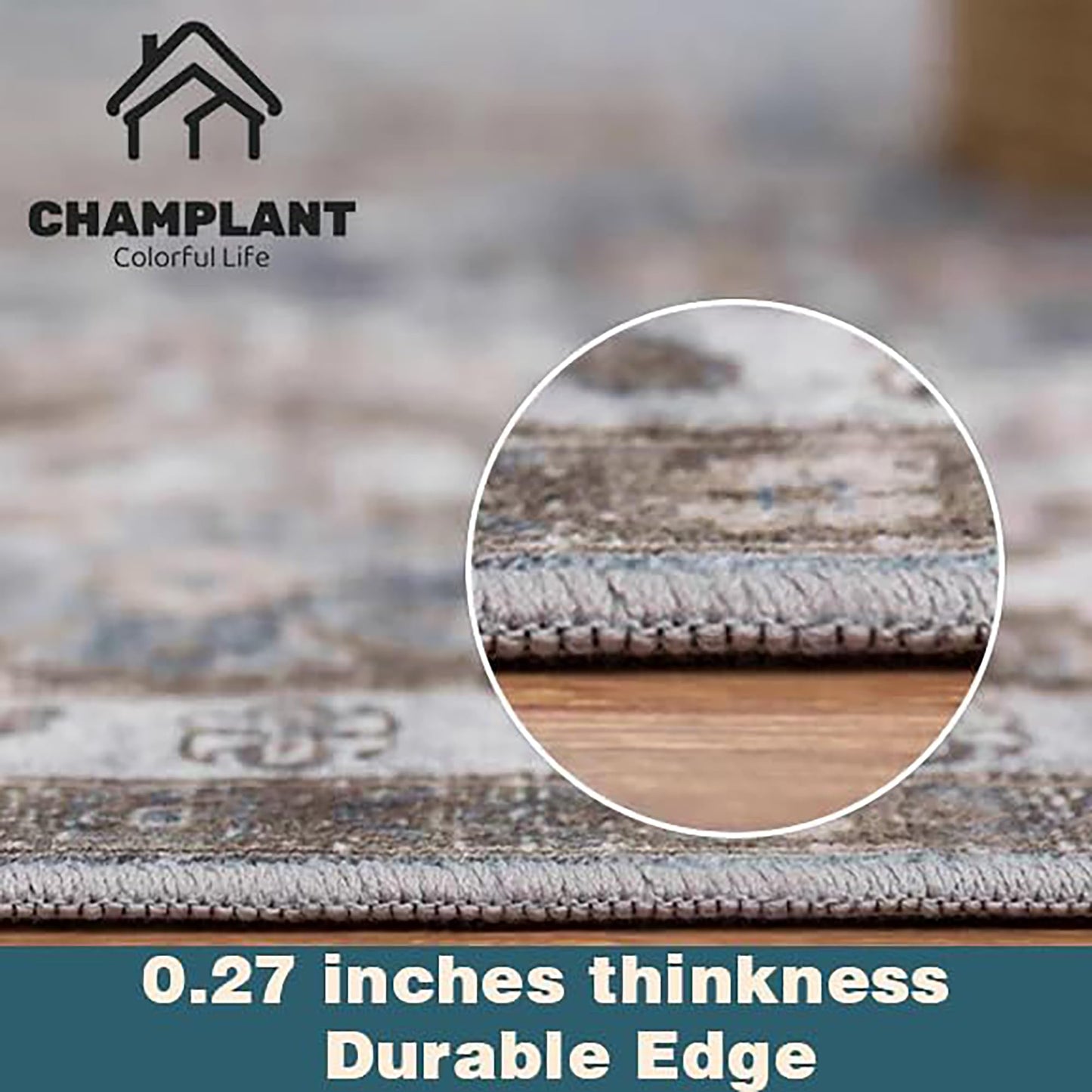 CHAMPLANT Area Rug 5'x7' Washable Rug Traditional Floor Cover Thin Retro Kitchen Indoor Distressed Non Slip Carpet for Living Room Bedroom Dining Room