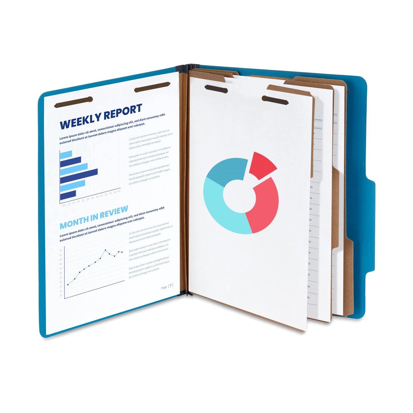 Blue Summit Supplies Dark Classification Folders, 3 Dividers, Letter Size with 2 Inch Expansions, Use for Organizing Medical Records & Client Files, Great as Lease Folders, 10 Pack
