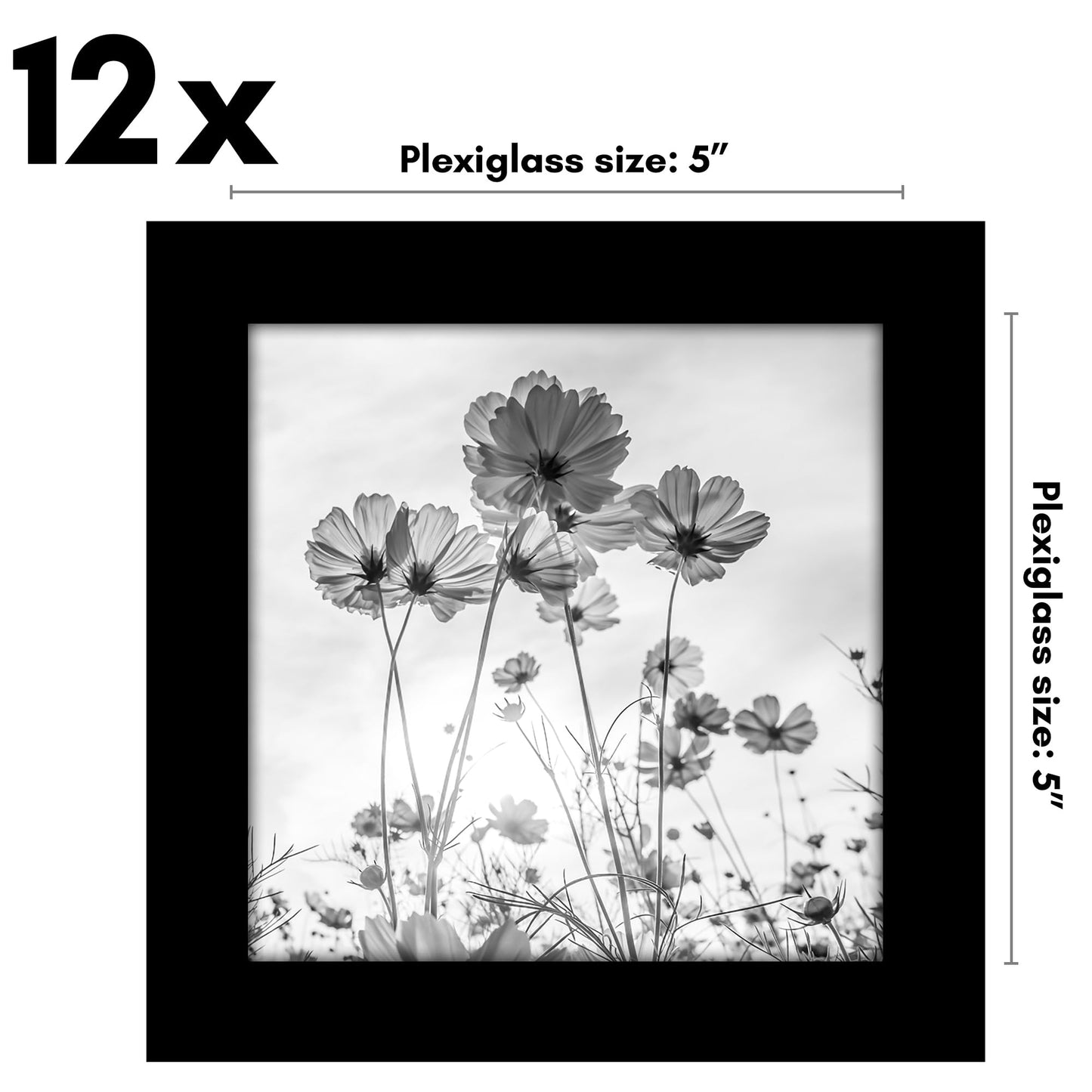 Americanflat 5x5 Picture Frame with Polished Plexiglass - Set of 12 - Signature Collection - Picture Frames with Engineered Wood - Square Frame for Tabletop and Wall Display - Black