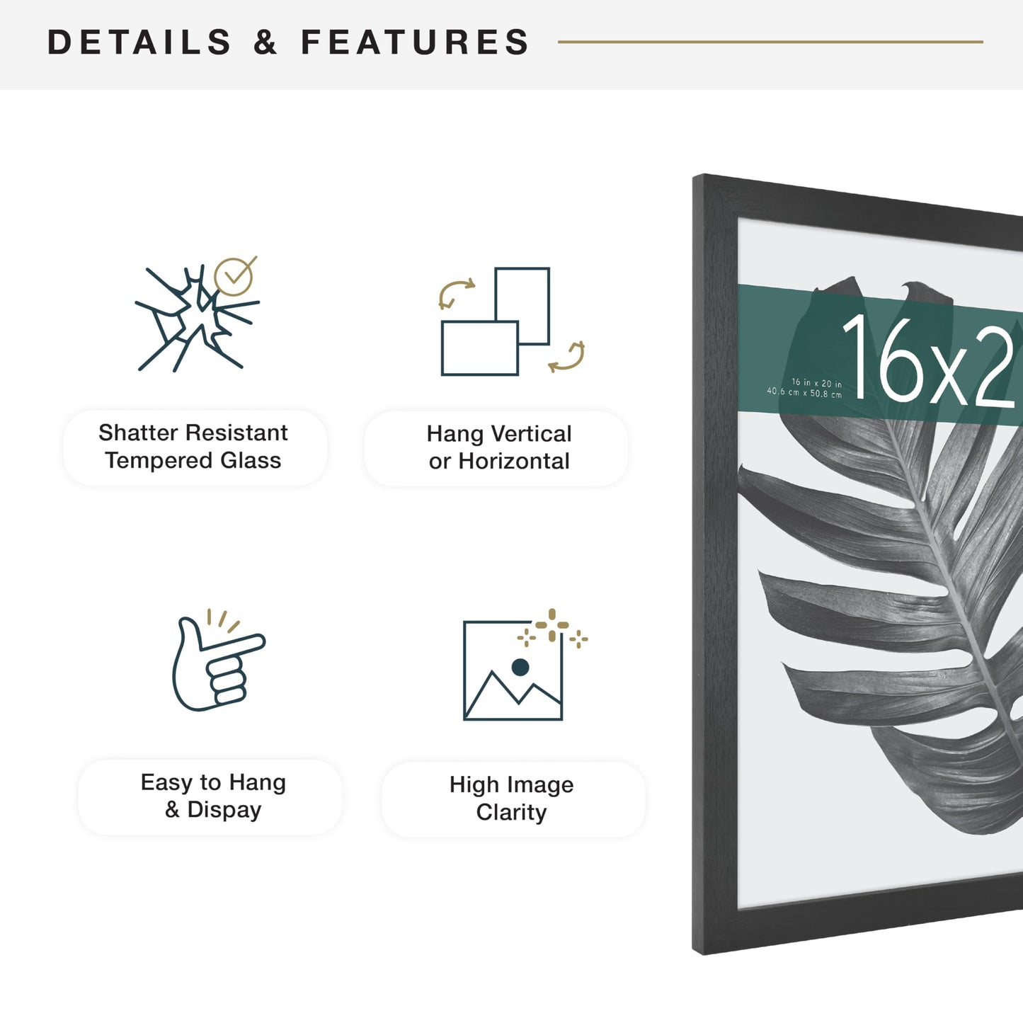 MCS Studio Gallery 16x20 Poster Frame Black Woodgrain Engineered Wood, Vertical & Horizontal Wall Hanging Large Picture Frame for Photos, Posters & Art Prints (2-Pack)