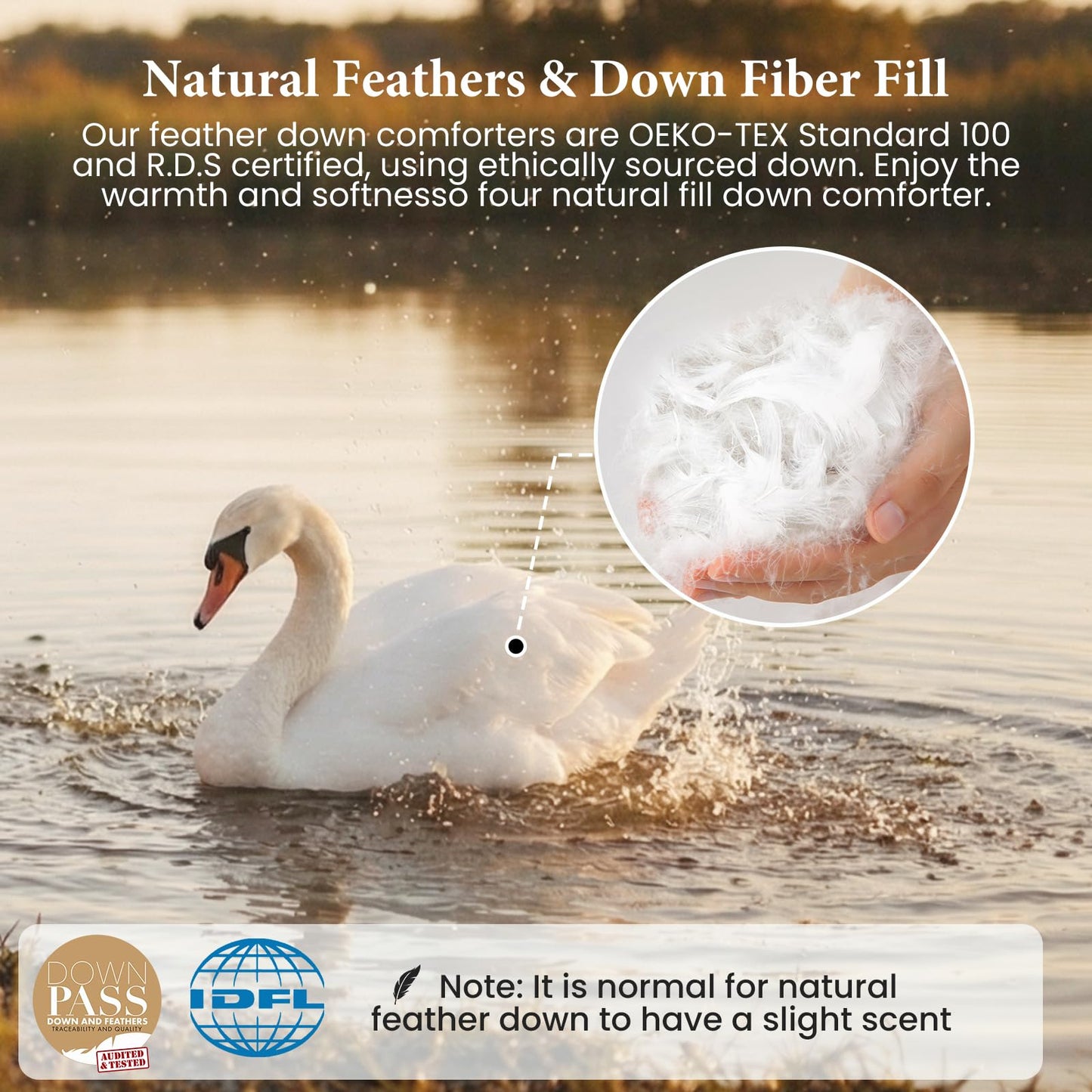 Joysoul Queen Size Down Comforter - All Season Ultra Soft Goose Down & Feather Fiber Fill, Luxury Hotel Pink Duvet Insert with Corner Tabs (88" X 88")
