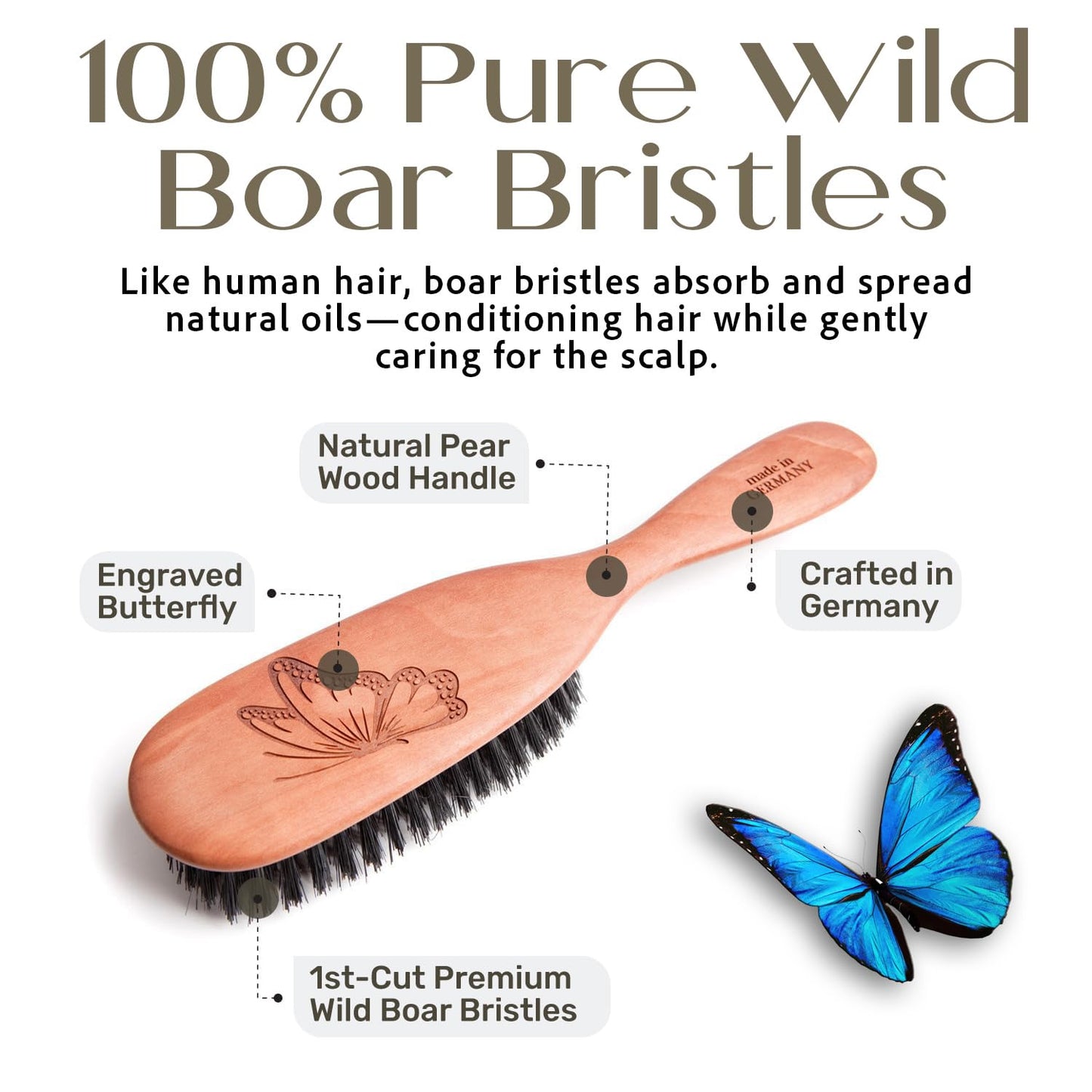 100% Pure Calcutta Boar Bristle Hairbrush for Natural Healthy Hair, Stiff Bristle, Made in Germany's Black Forest