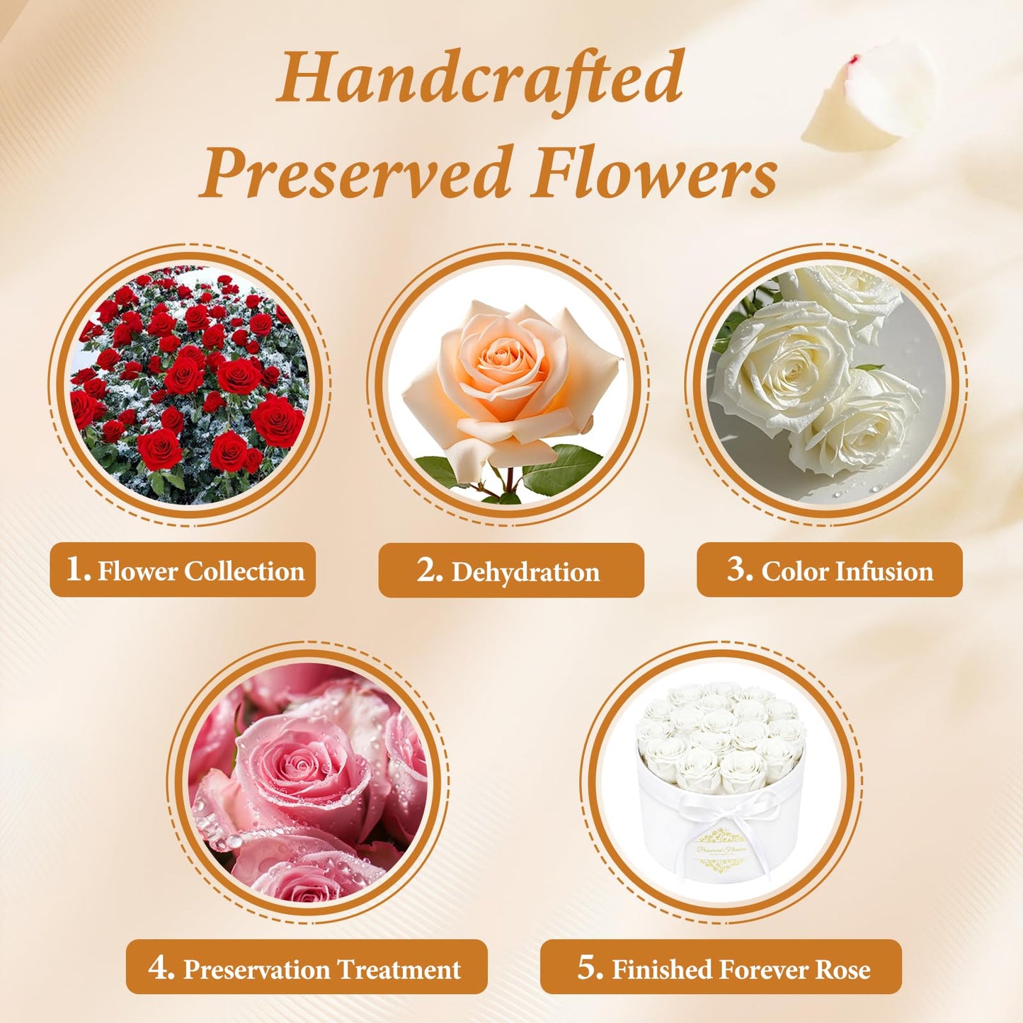 17 Forever Flowers in a Luxury Suede Box, Preserved Roses Birthday Gifts for Women, Romantic Anniversary Valentines Day Gift for Her Girlfriend Wife, White