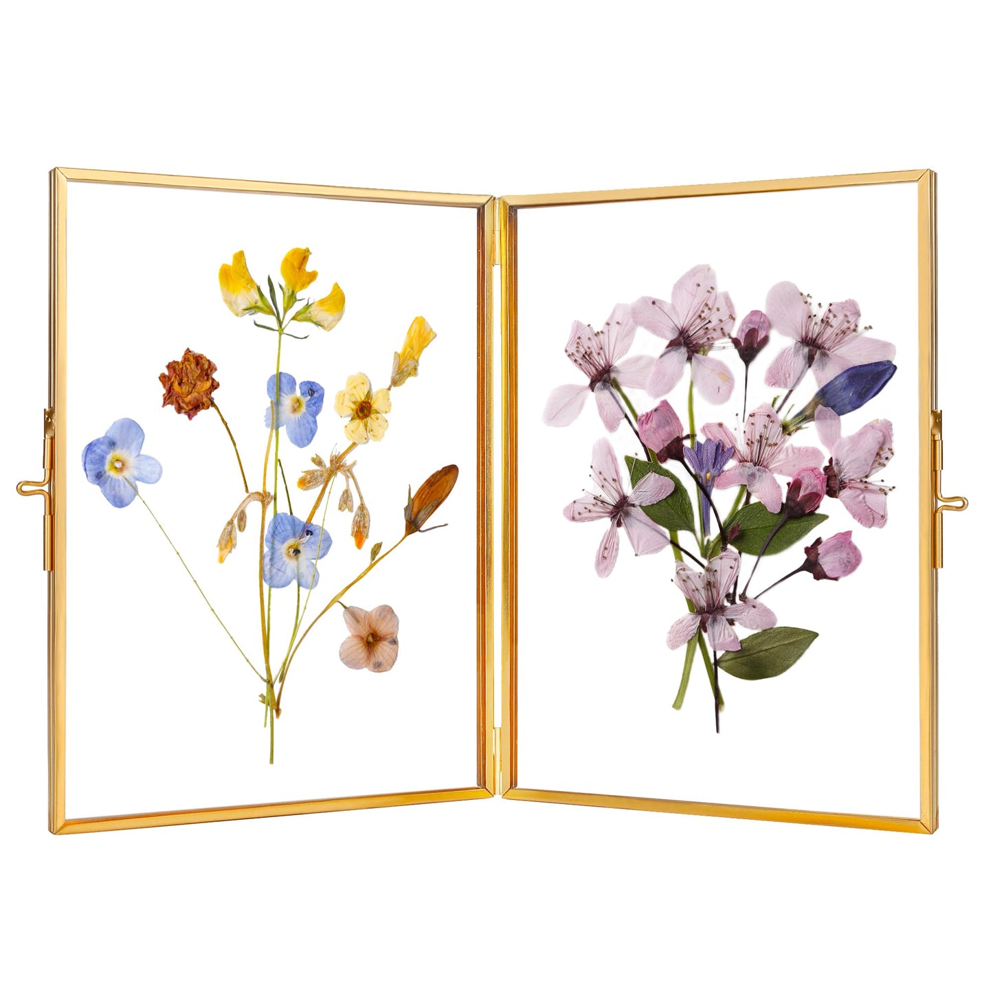 REDHUGO Glass Pressed Flower Frame Handmade, Hinged Double Press Flower Frame, Tabletop Brass Photo Frames, Rectangle Dried Flowers Display Folding Frames for Home, Gold,5×7 Inches