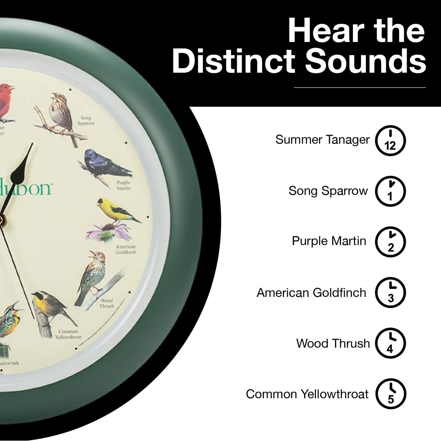 Mark Feldstein, Audubon Singing Bird Wall Clock, 13 Inch, Green