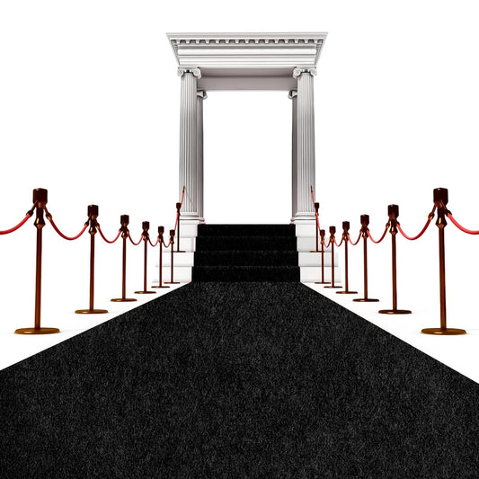 450 GSM Extra Thick Waterproof Black Carpet Runner for Events Decorations, 3X10 Ft Not Slip Red Runner Aisle Runway Rug for Wedding, Party, Banquet, Activity Entrance and Special Events Decorations