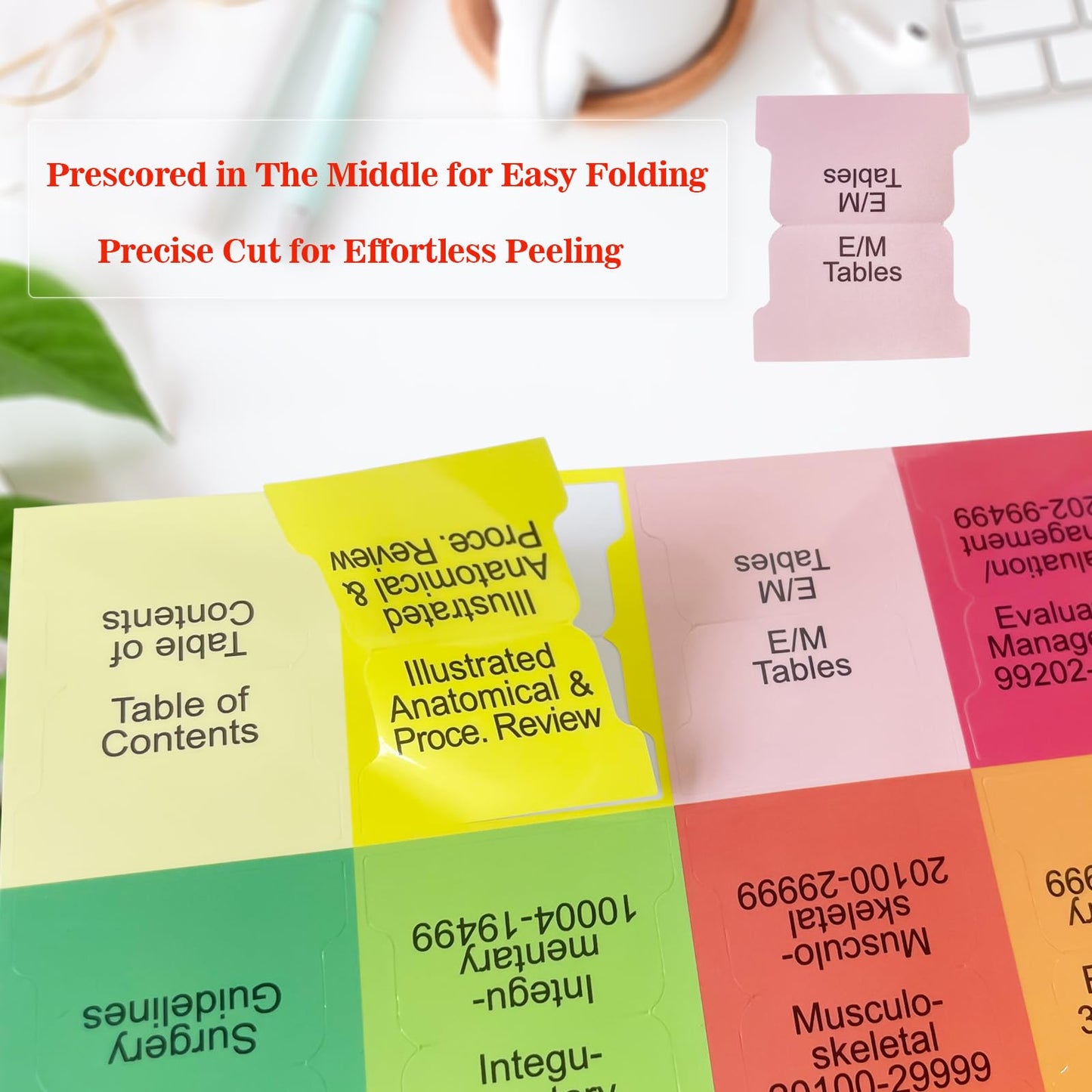 Index Tabs for CPT, AAPC Version ICD-10-CM & HCPCS Level II 2025, 3 Set Bundle, Complete Book Tabs Set (Book not Included), Color-Coded with Code Ranges, Laminated & Waterproof & Repositionable