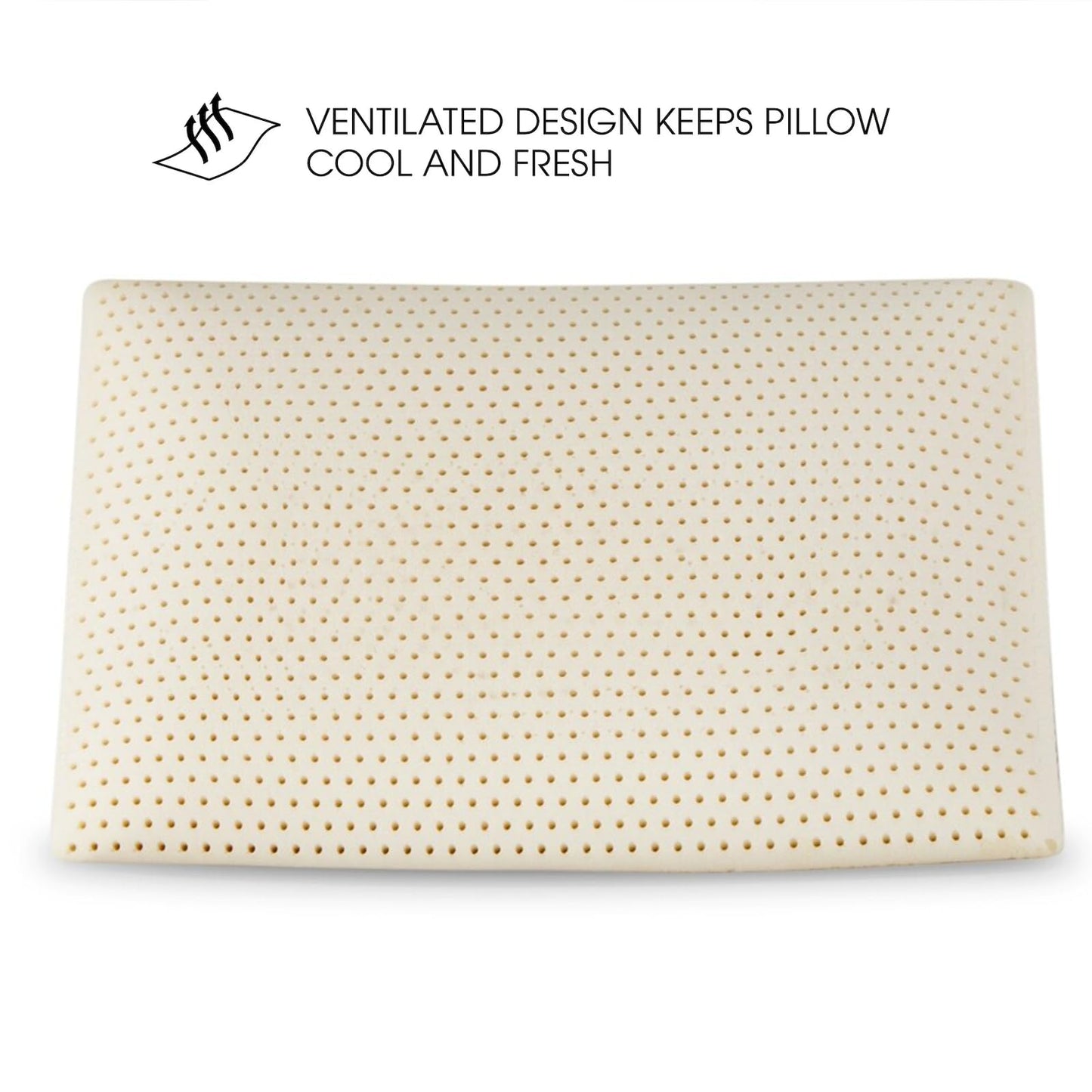 BIAMKTP 100% Talalay Latex Pillow, Luxury Queen Sleeping Bed Pillow for Side, Back, and Stomach Sleepers, Extra Soft Natural Latex Foam Pillow, Removable Breathable Cotton Cover (1, Queen (Mid Loft))