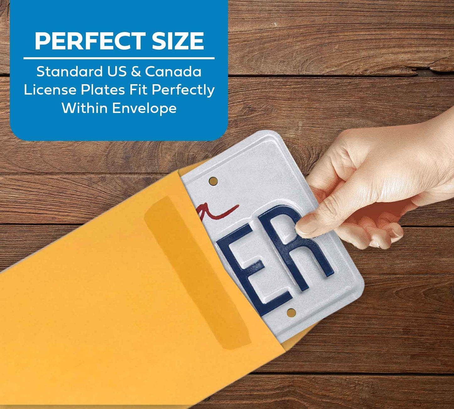 Pre-Printed License Plate Envelopes - Self Seal - (100 per Box)