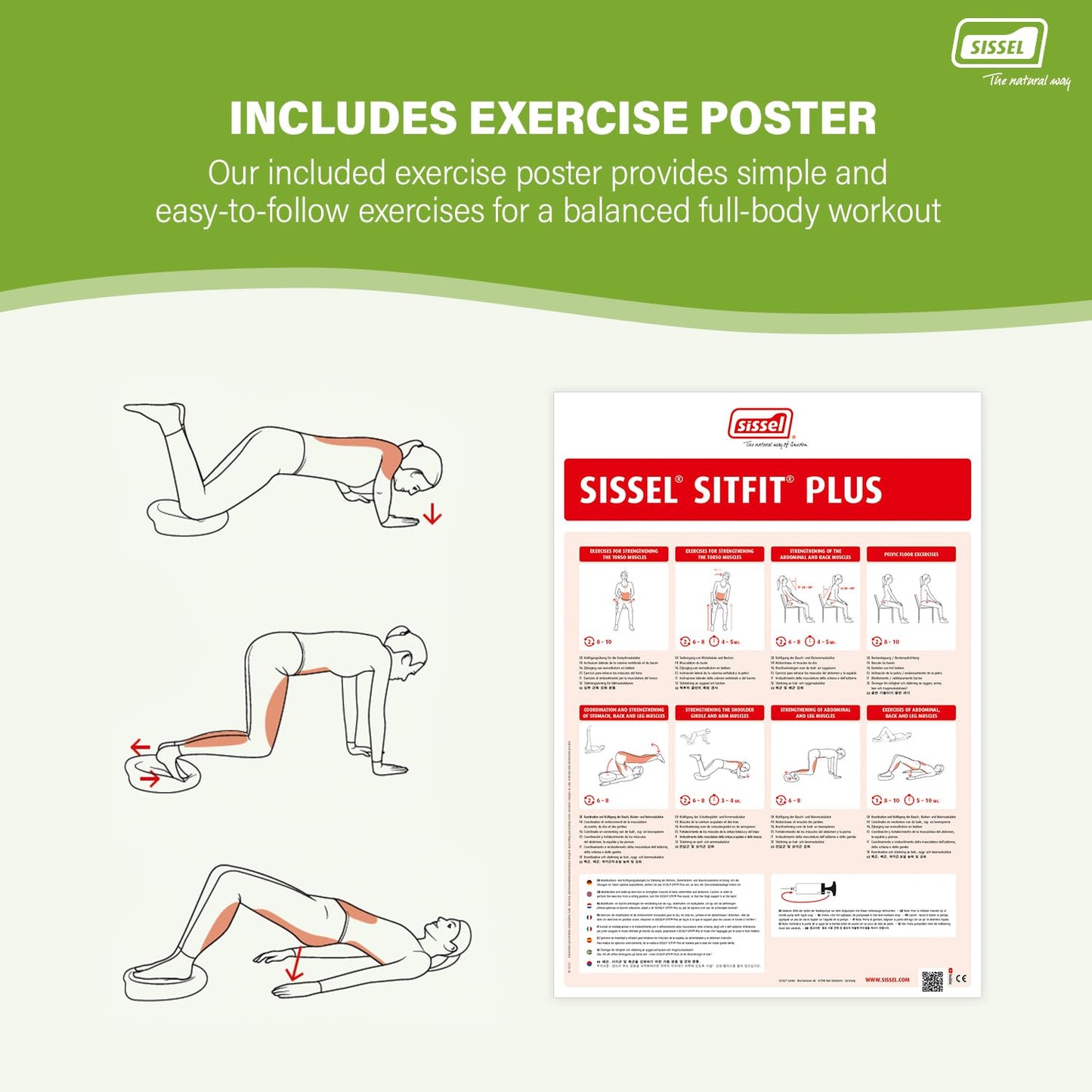 SISSEL SITFIT Plus | Active & Dynamic Sitting | 2-in-1 Function | Adjustable Pressure | Black, 14.5 in | Strengthens Back Muscles | Includes Pump & Exercise Poster