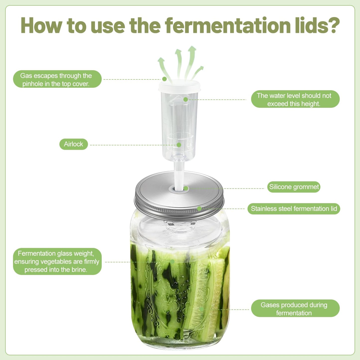 Fermentation Kit for Wide Mouth Mason Jars-4 Stainless Steel Fermentation Lids,4 Glass Fermentation Weights,1 Silicone Tong,1 sauerkraut pound, 1Wooden Handle Brush Cleaner（ Jars Not Included ）
