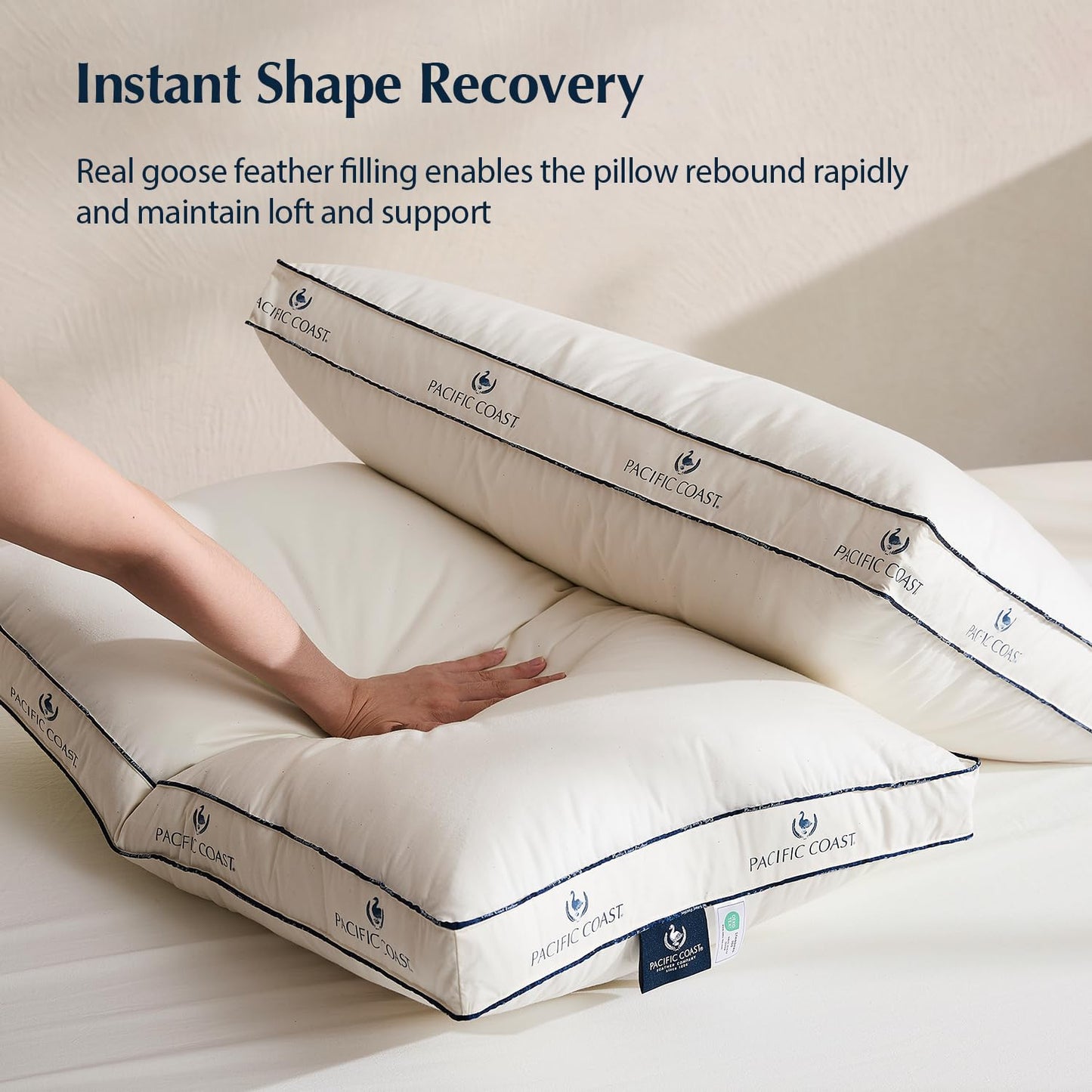 Pacific Coast Goose Firm Bed Pillows of Standard Size, 100% Organic Cotton Cover, Gusseted Design for Sleeping, Feather and Down Pillows of Hotel Collection
