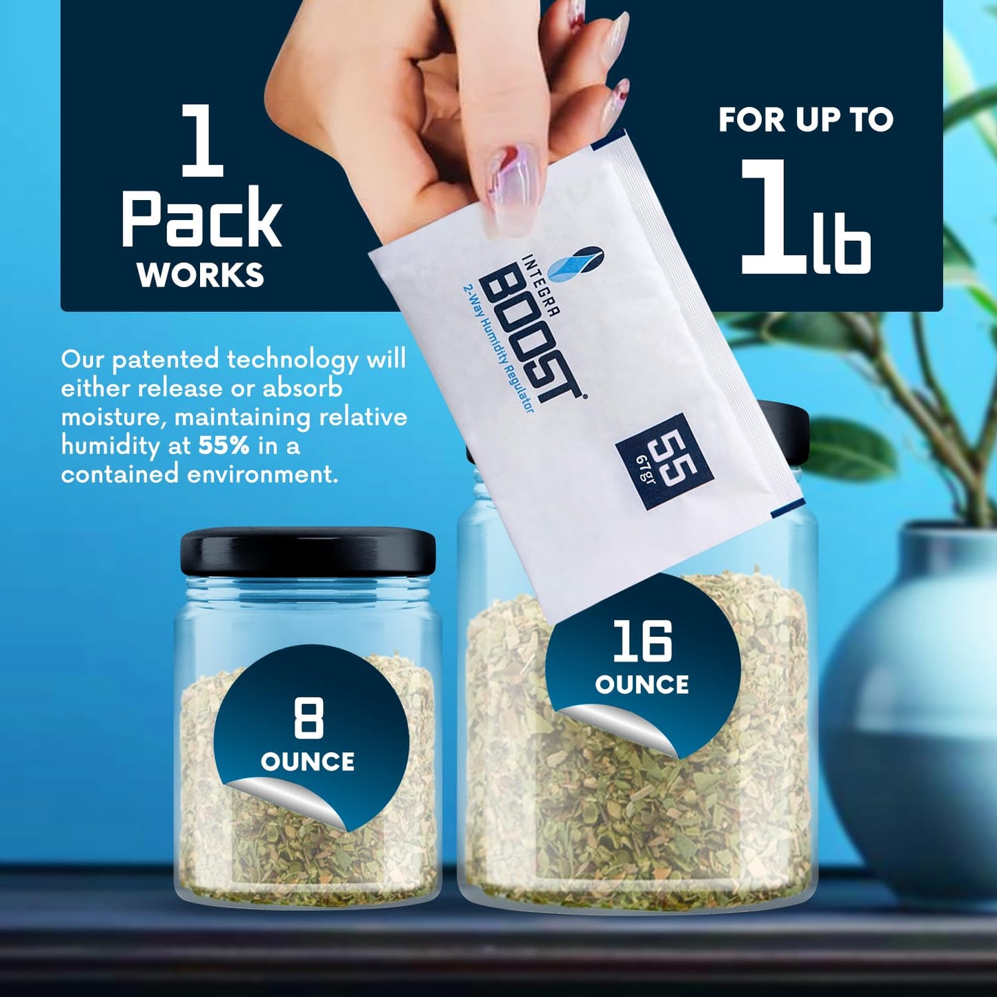 Integra Boost - 55% RH Level - 67 Gram Size - Two-Way Humidity Control Pack - Incl. Replacement Indicator Cards - Food Storage & Herbs Moisture Balancer For Up to 1 lb (Pack of 6)