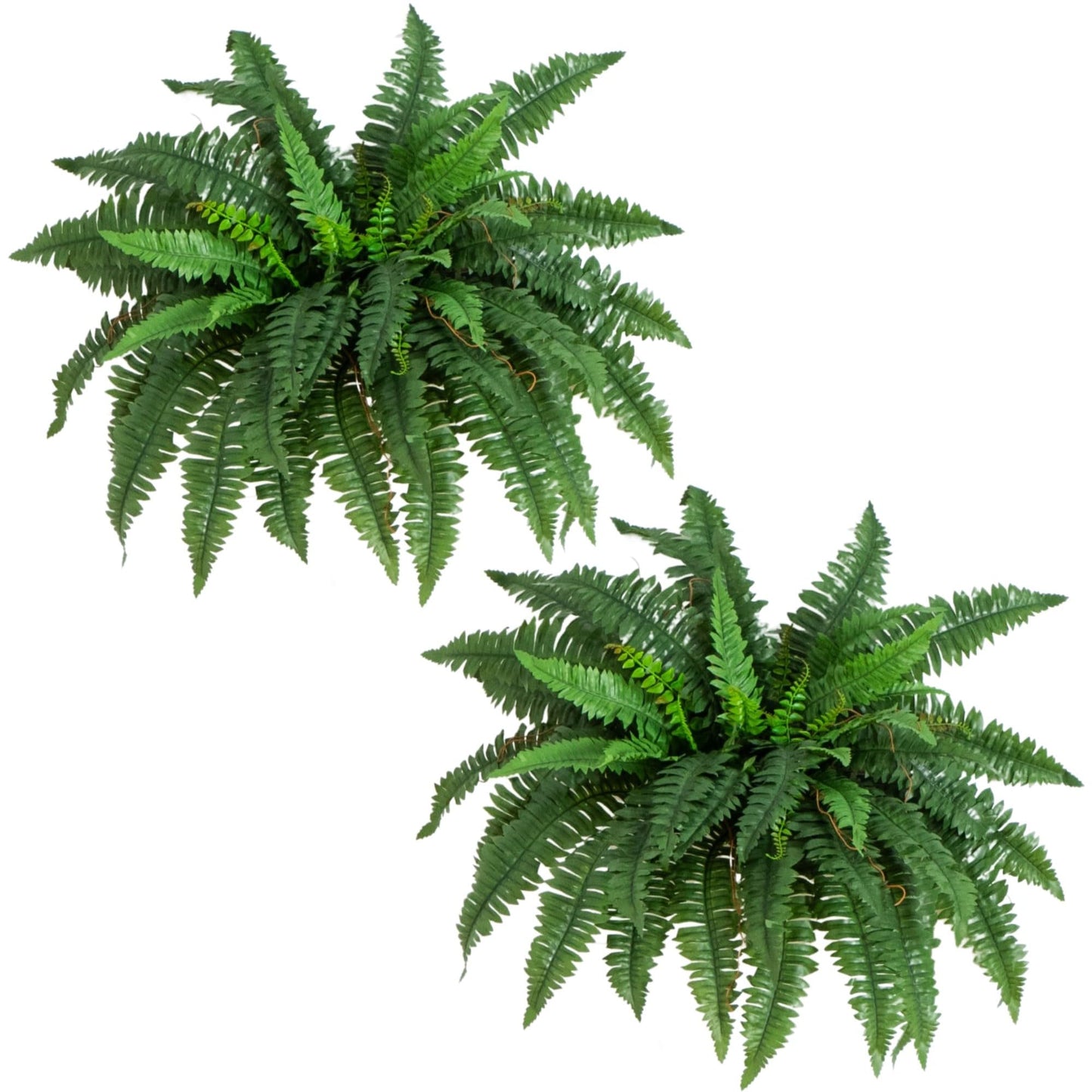 Nearly Natural 40in Hanging Artificial Boston Fern Plant Set of 2 - Realistic Faux Greenery for Indoor Home, Office, and Bathroom Decor