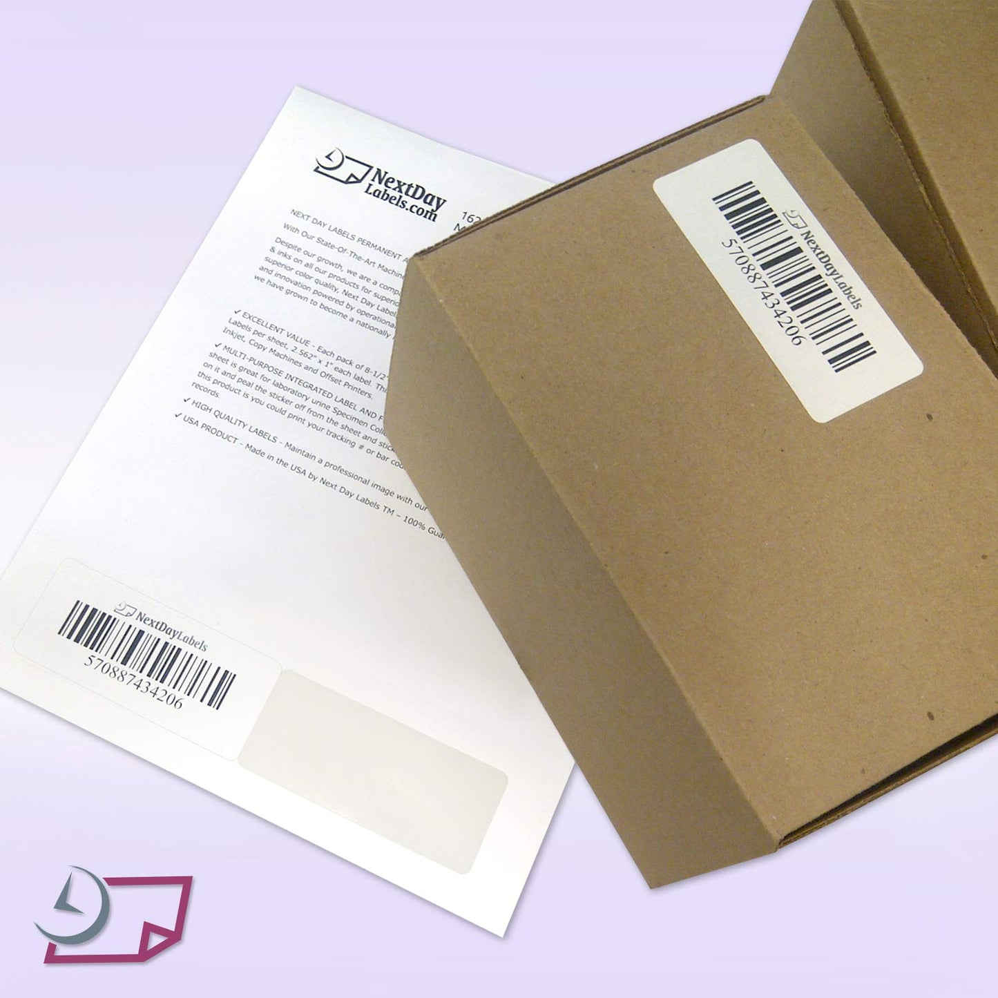 NextDayLabels - Integrated Label/Laser Form with Label Combination (2 Labels of 3-1/2 x 1-1/2" Each/Pack of 250)